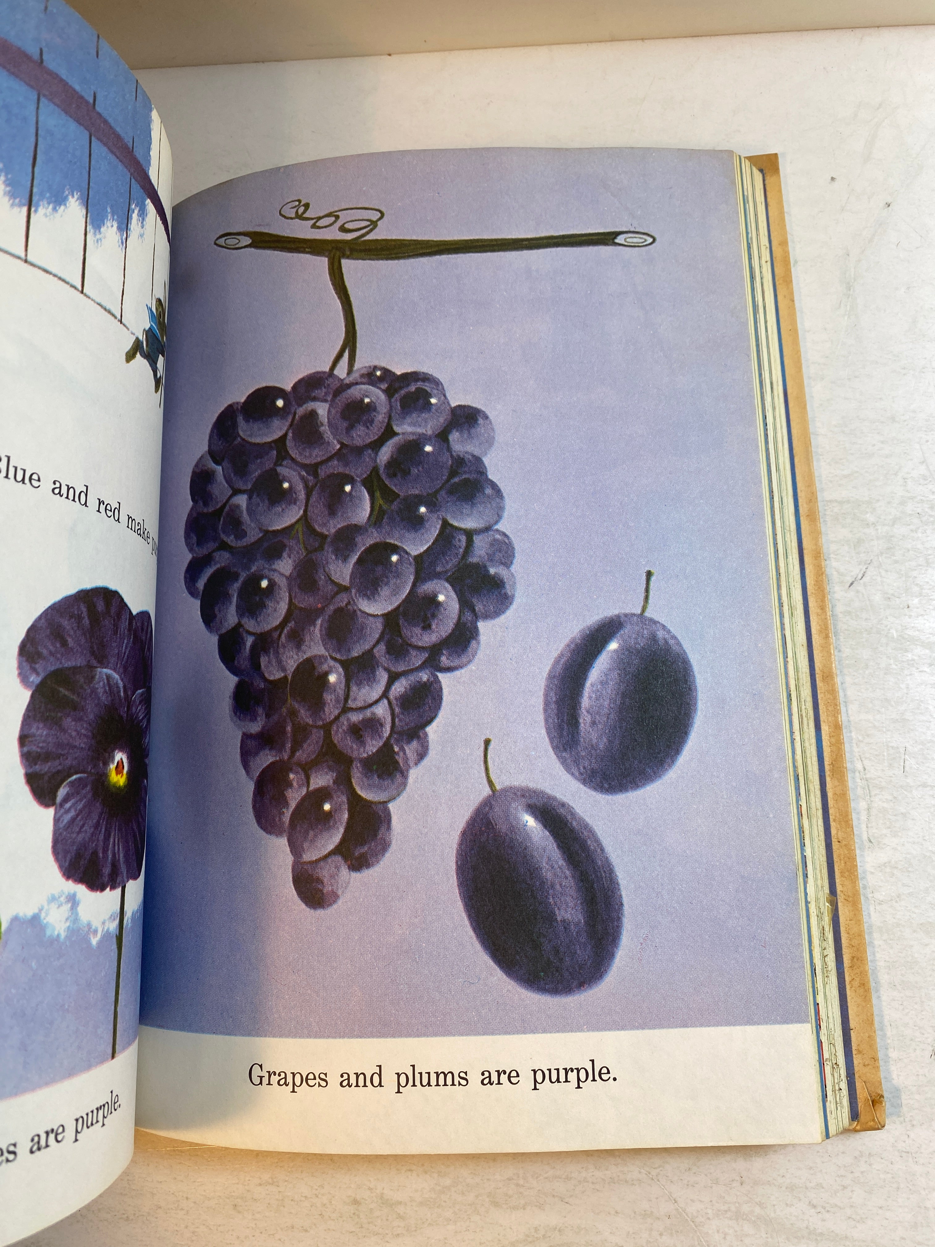 Richard Scarry's Best Story Book Ever HC 1973