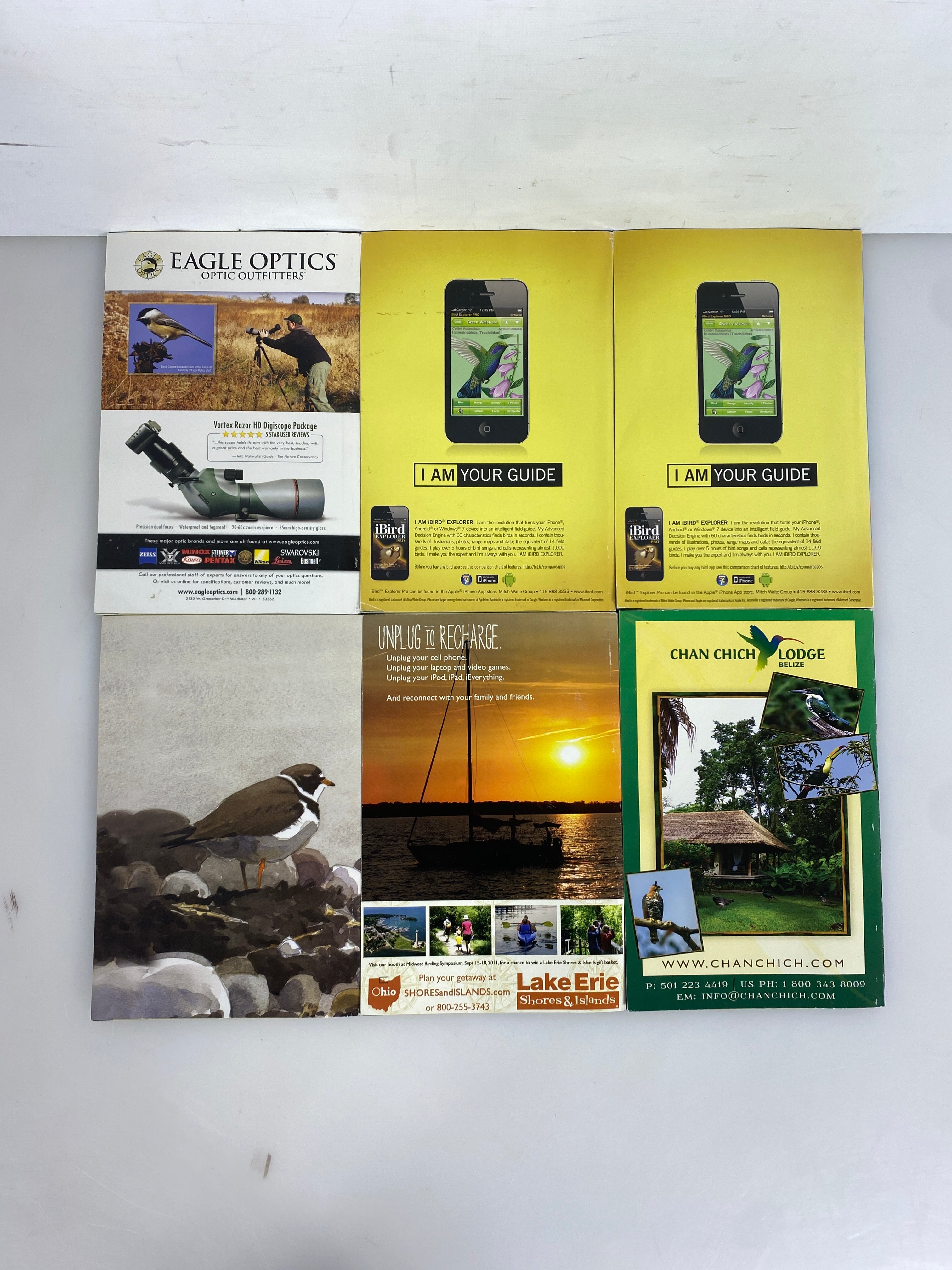 Lot of 12: Bird Watcher's Digest 2009-2011