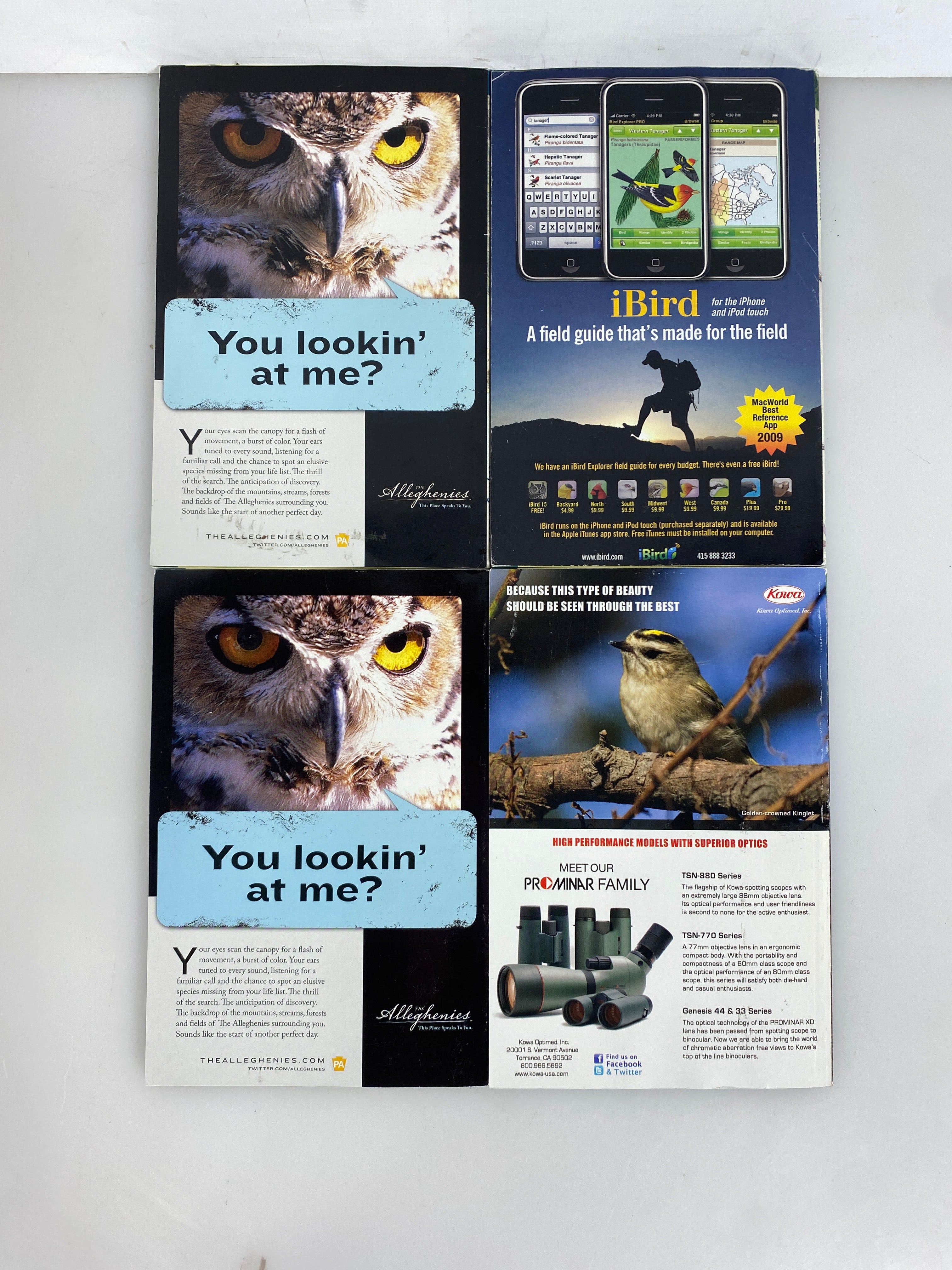 Lot of 12: Bird Watcher's Digest 2009-2011