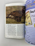 Lot of 12: Bird Watcher's Digest 2009-2011