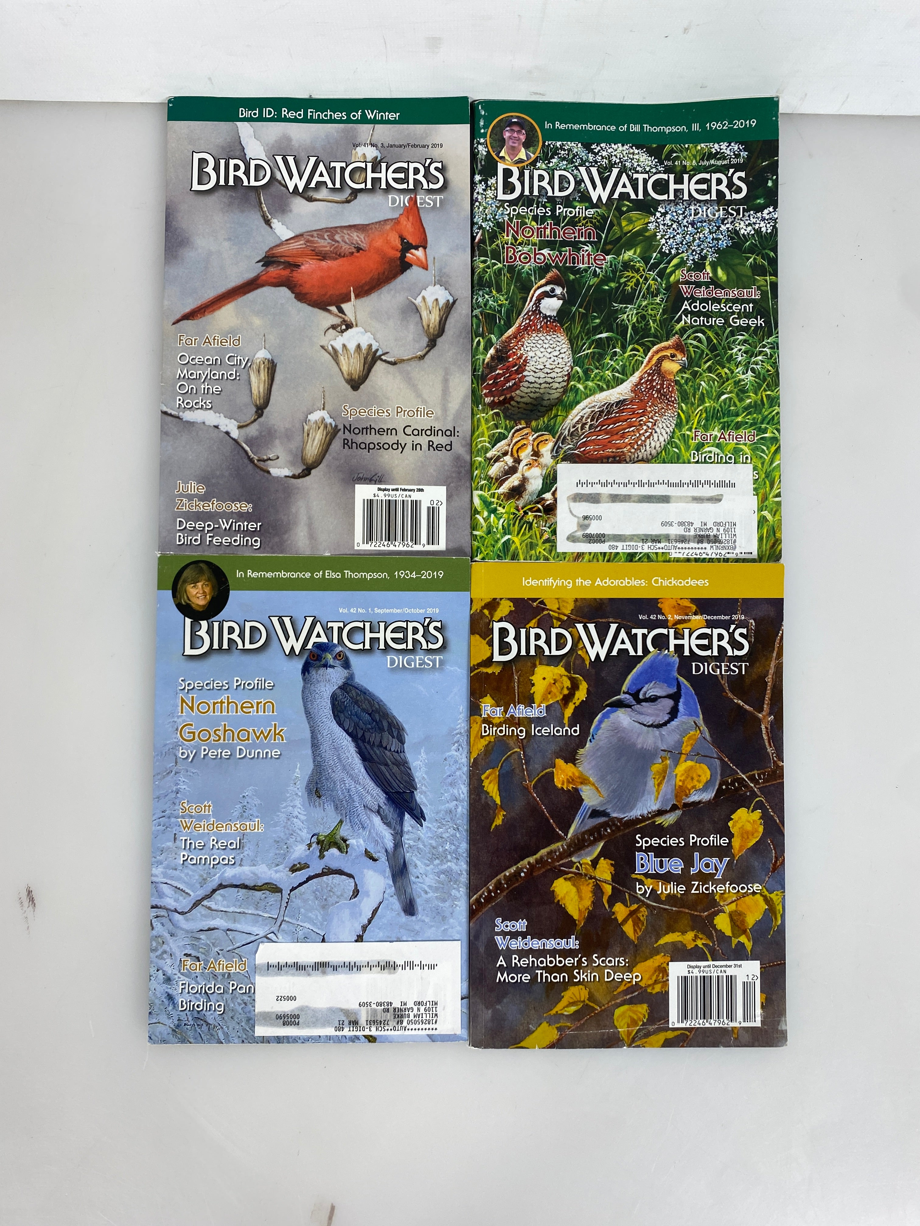 Lot of 11: Bird Watcher's Digest 2019-2021
