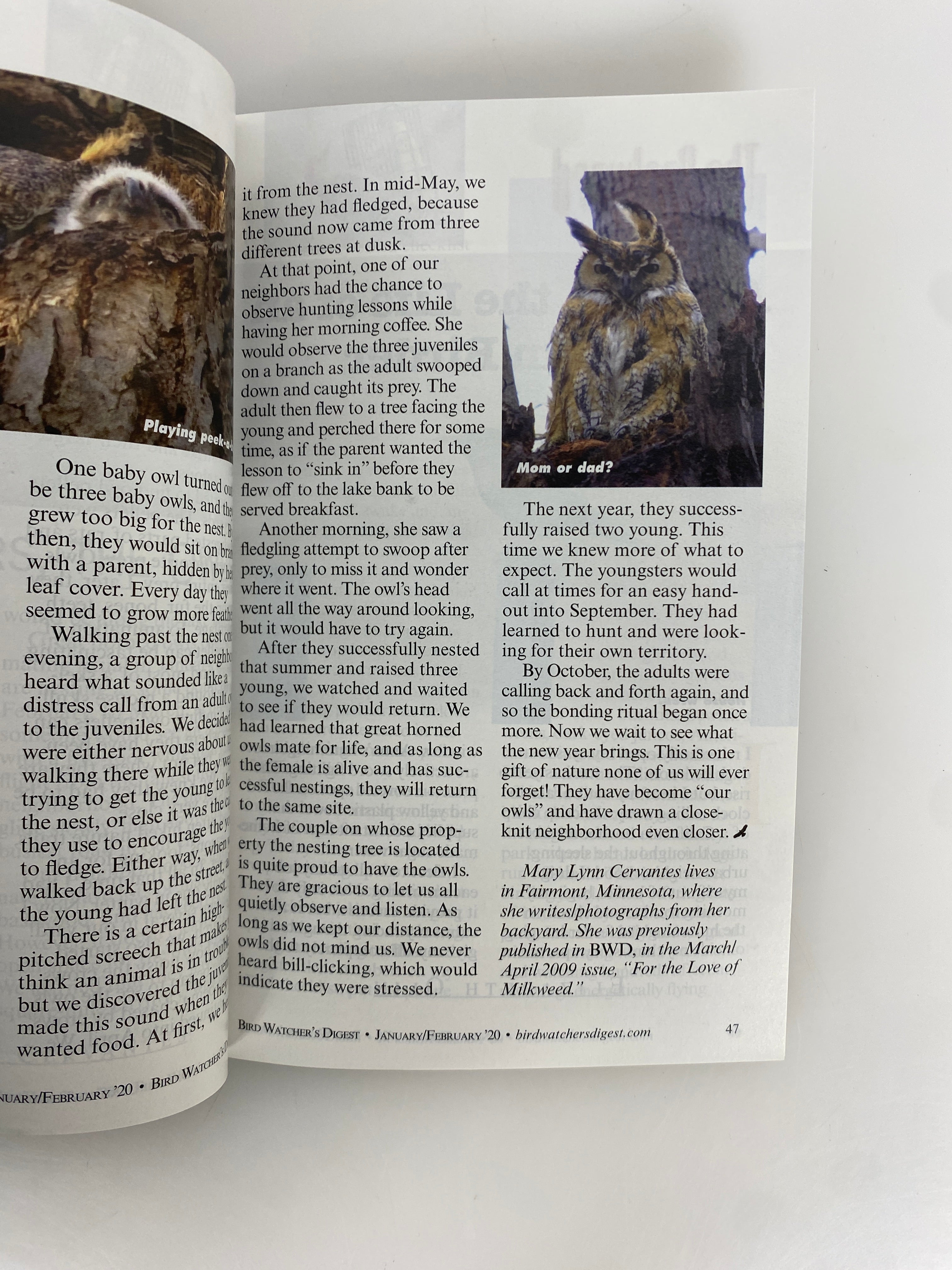 Lot of 11: Bird Watcher's Digest 2019-2021