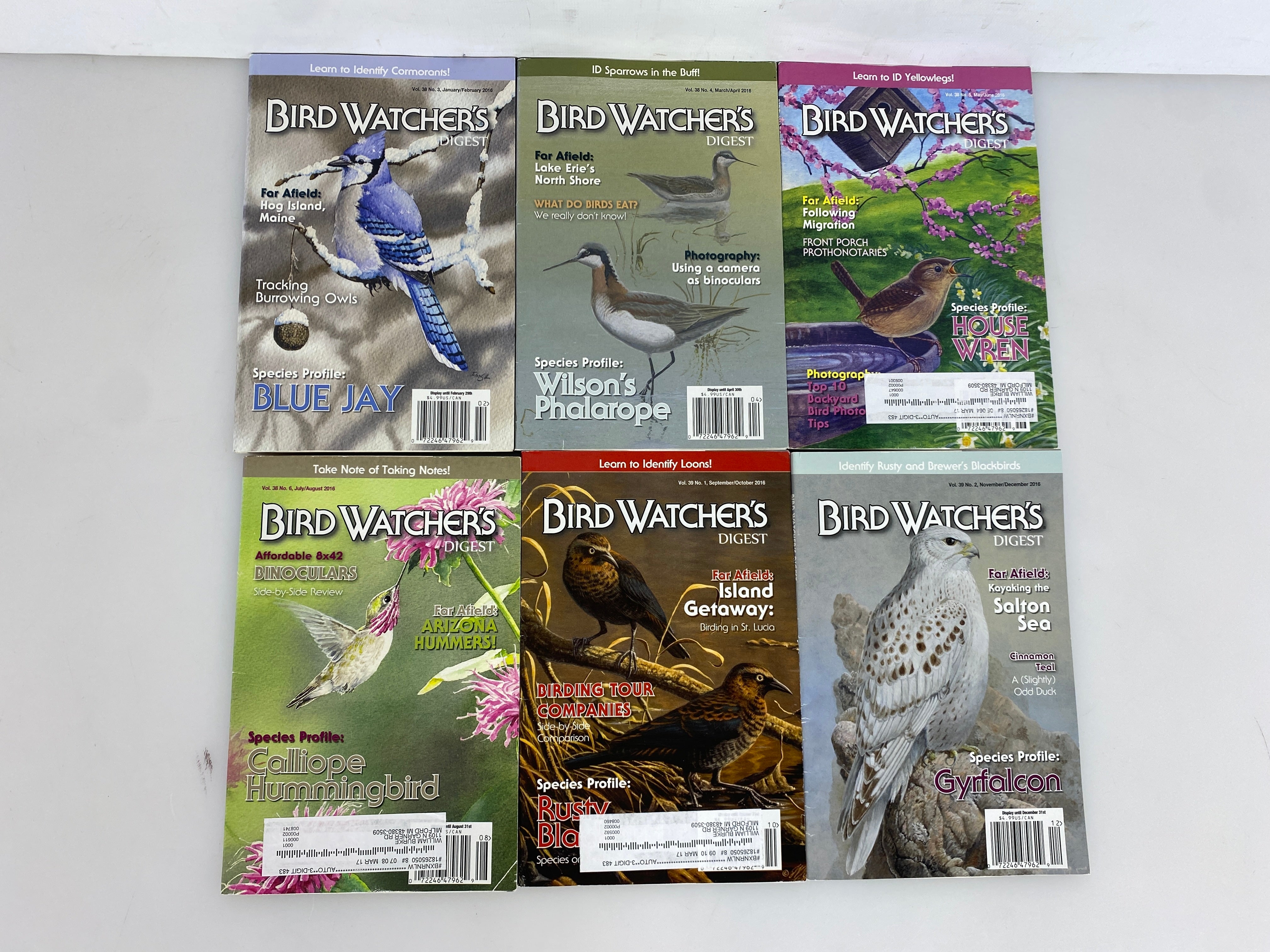 Lot of 18: Bird Watcher's Digest 2016-2018