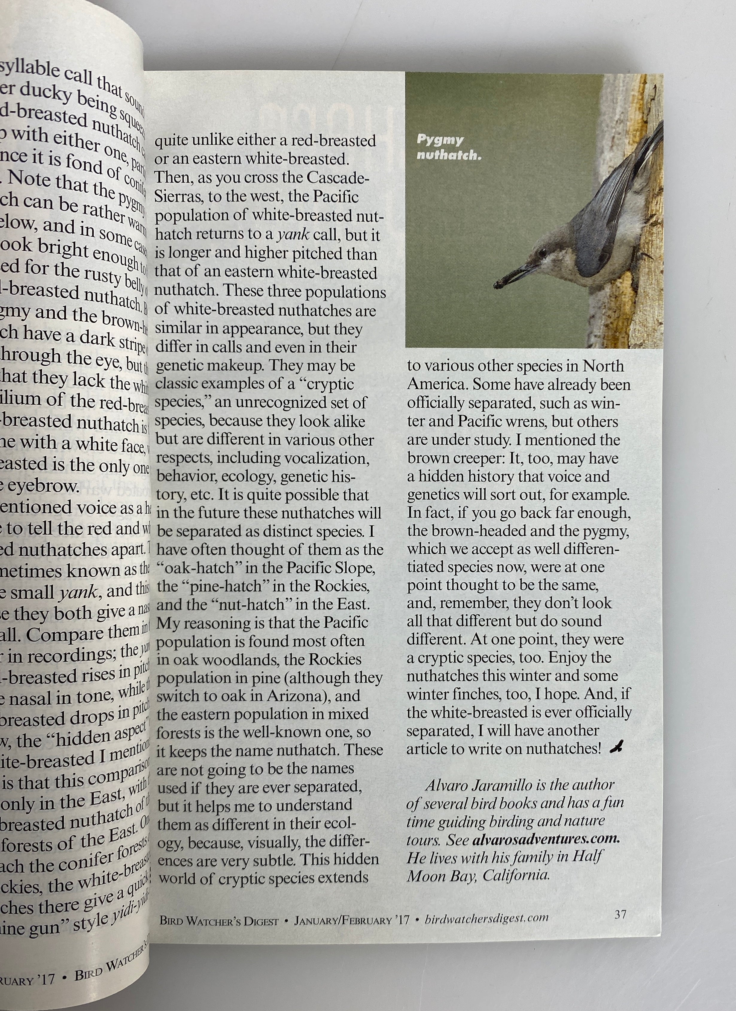 Lot of 18: Bird Watcher's Digest 2016-2018