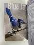 Lot of 18: Bird Watcher's Digest 2016-2018