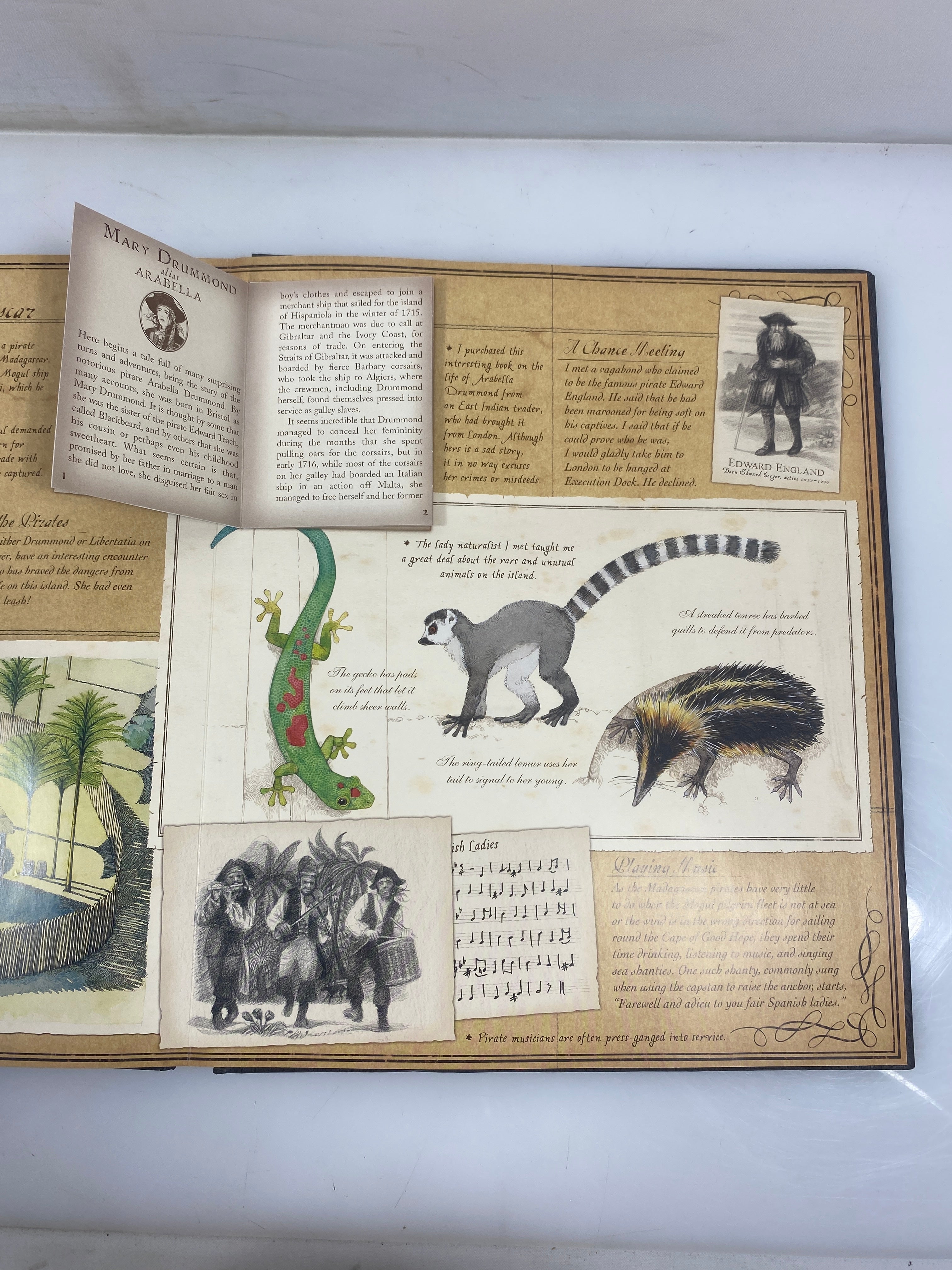 Lot of 2: Pirateology & Egyptology 2004-06 HC