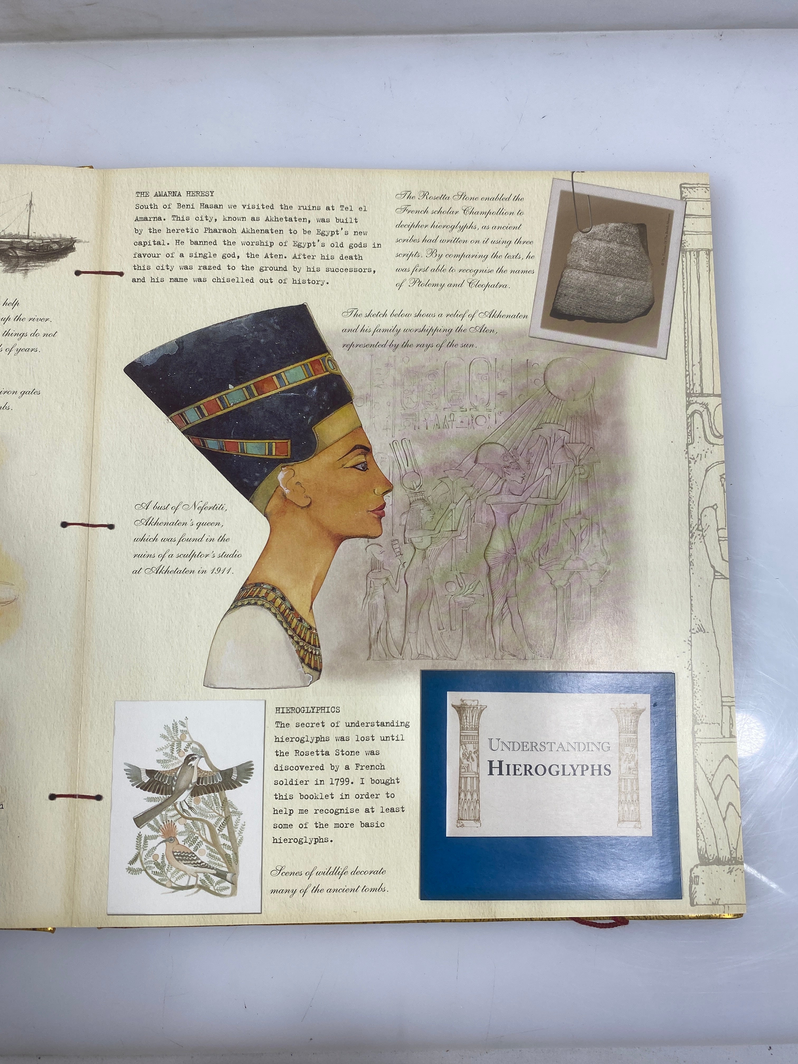 Lot of 2: Pirateology & Egyptology 2004-06 HC