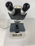 American Optical AO One-Ten Microscope with 2 Objectives