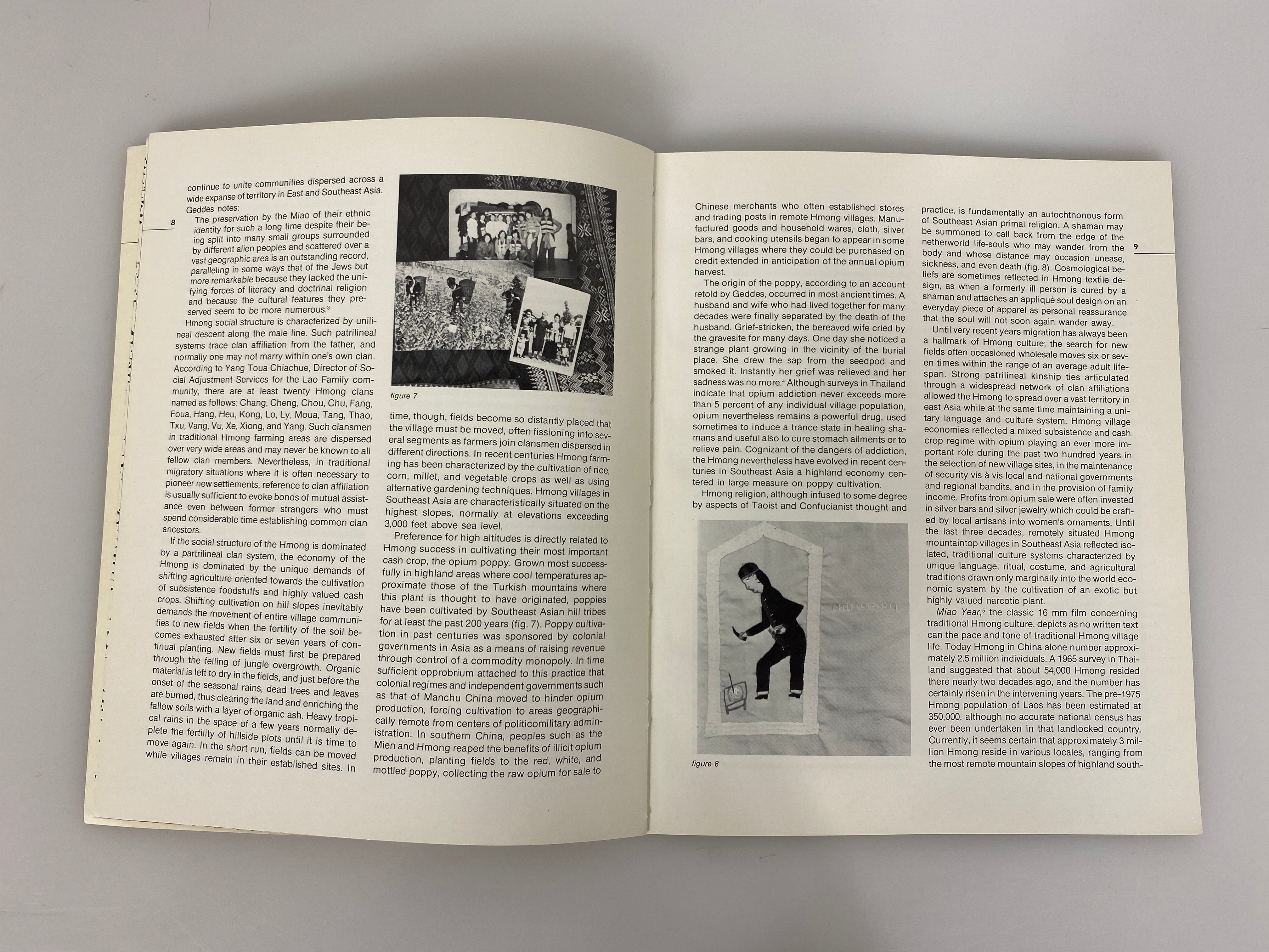 Michigan Hmong Arts: Textiles in Transition 1984 SC