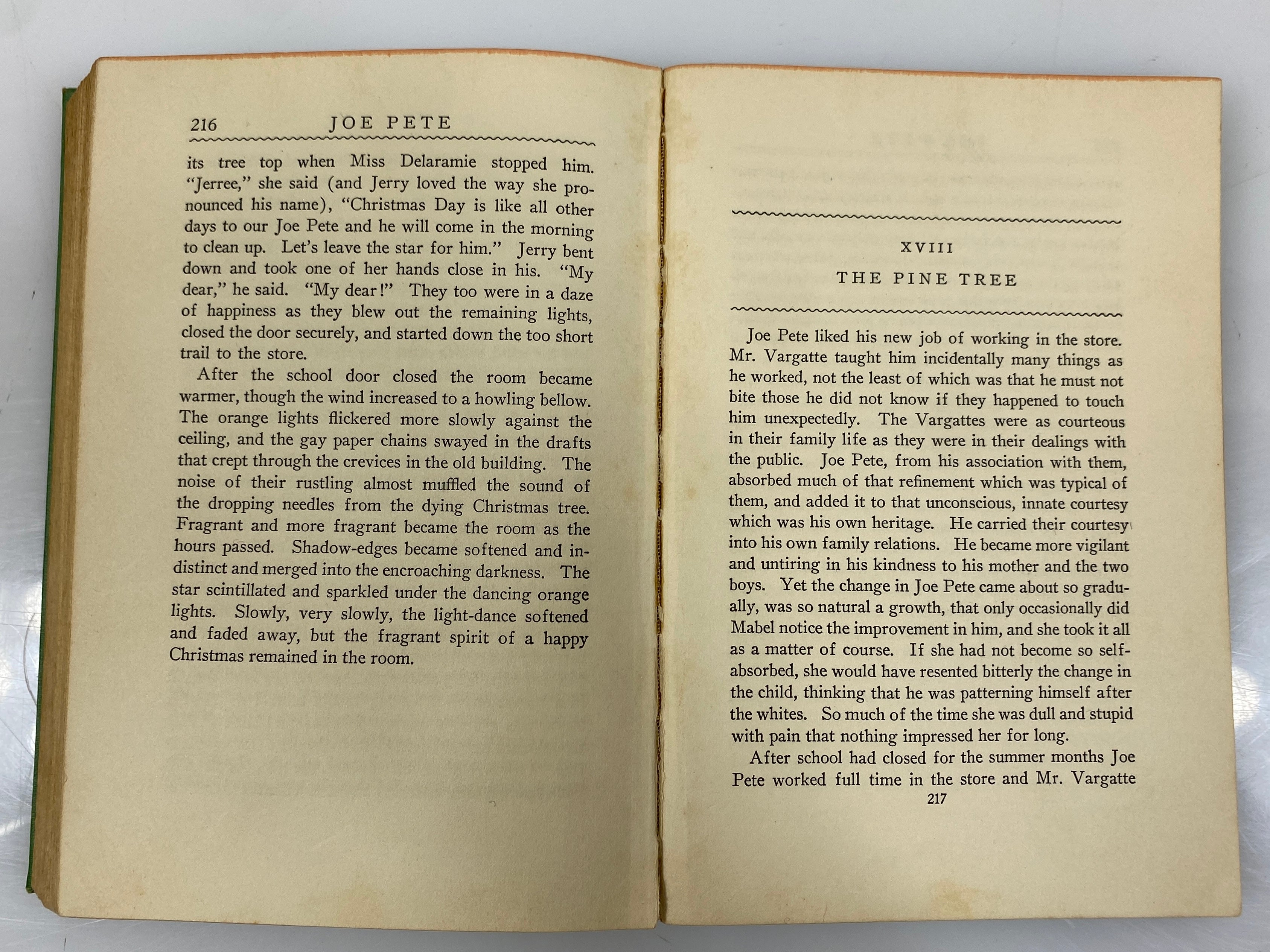 Joe Pete by Florence McClinchey 1929 First Edition Second Printing HC