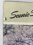 Lot of 8 Scenic South Magazine (1962-1963)