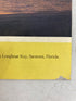 Lot of 8 Scenic South Magazine (1962-1963)