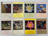 Lot of 8 Scenic South Magazine (1962-1963)