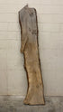 MSU Shadows Live Edge Unknown Species Slab Wood #1