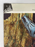 Lot of 8 Scenic South Magazine (1962-1963)
