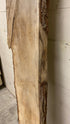 MSU Shadows Live Edge Unknown Species Slab Wood #1