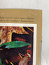 Lot of 8 Scenic South Magazine (1962-1963)