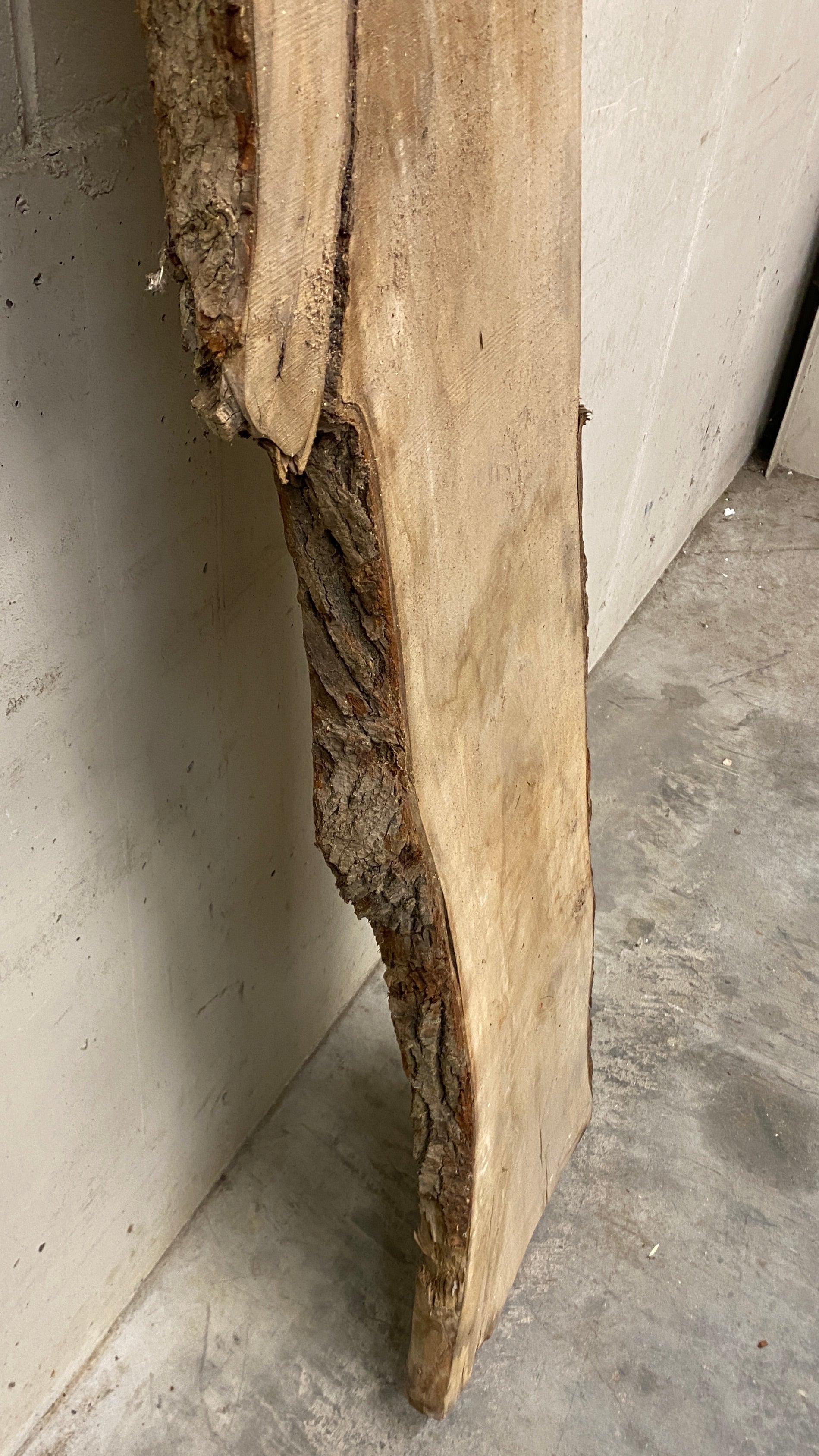 MSU Shadows Live Edge Unknown Species Slab Wood #1