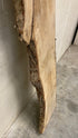 MSU Shadows Live Edge Unknown Species Slab Wood #1
