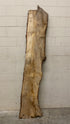 MSU Shadows Live Edge Unknown Species Slab Wood #1