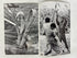 Lot of 8 Scenic South Magazine (1962-1963)