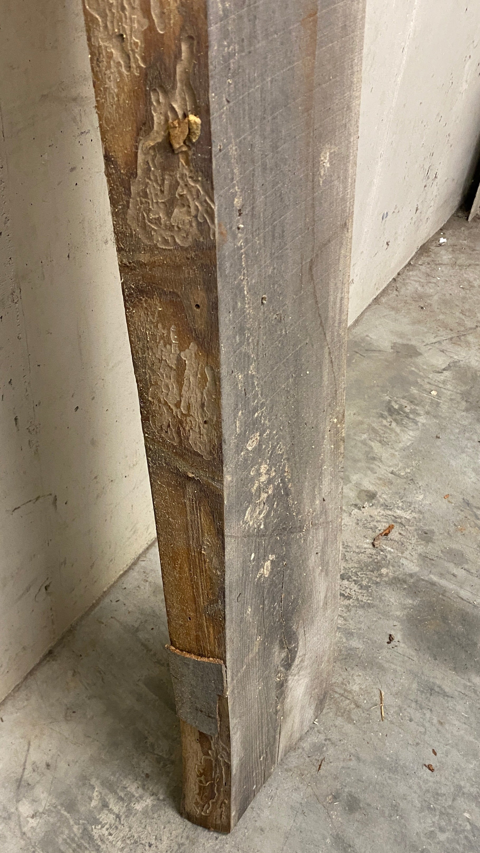 MSU Shadows Live Edge Unknown Species Slab Wood #3