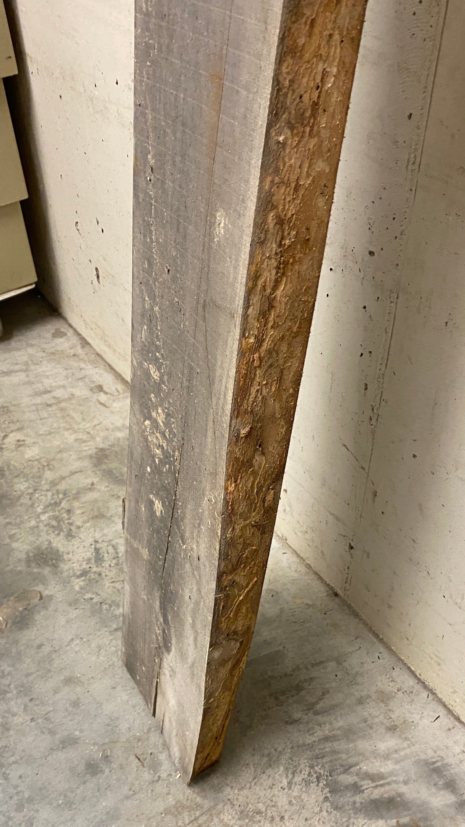 MSU Shadows Live Edge Unknown Species Slab Wood #3