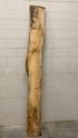 MSU Shadows Live Edge Unknown Species Slab Wood #3