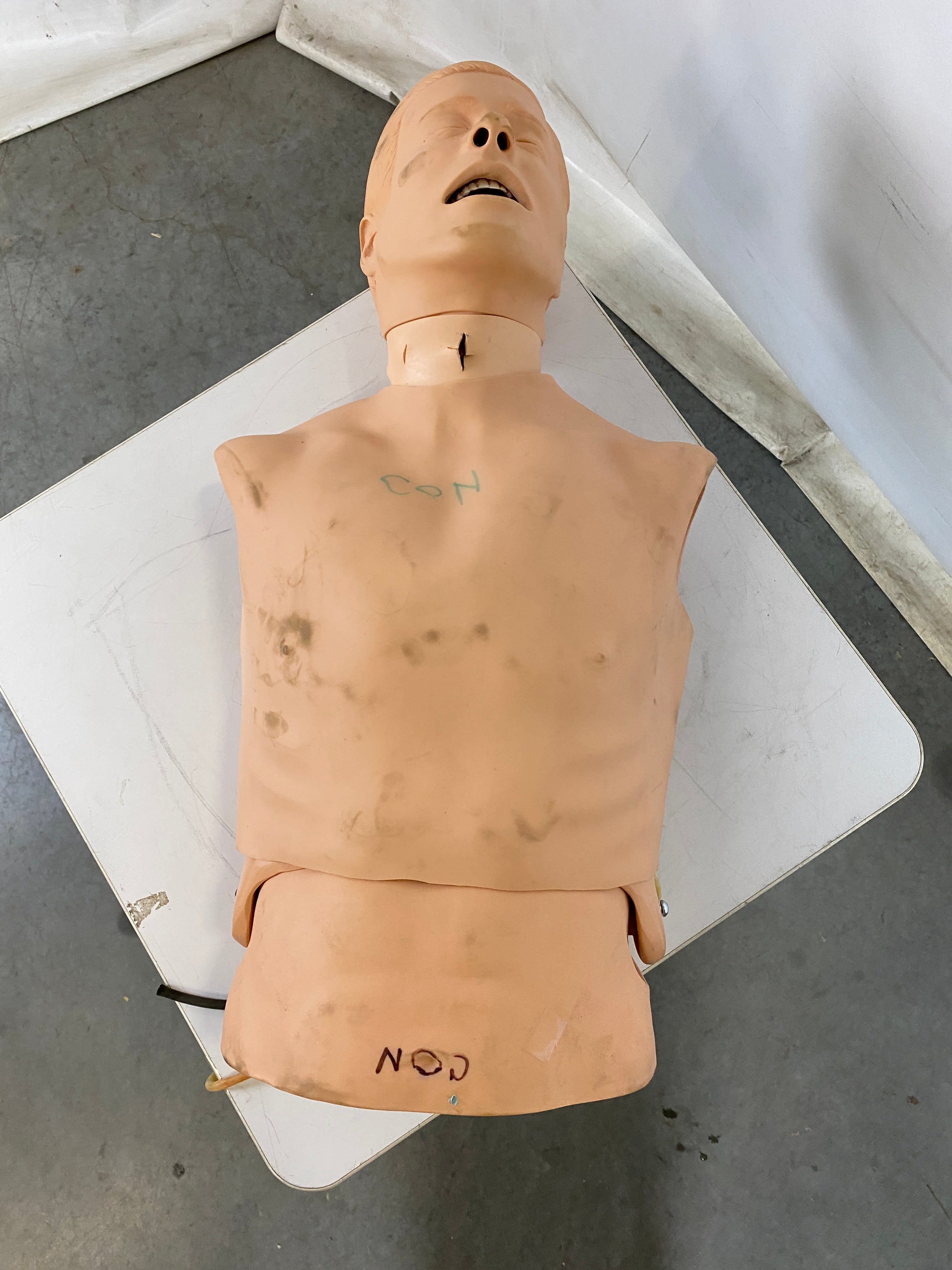 CPR Training Adult Torso Manikin