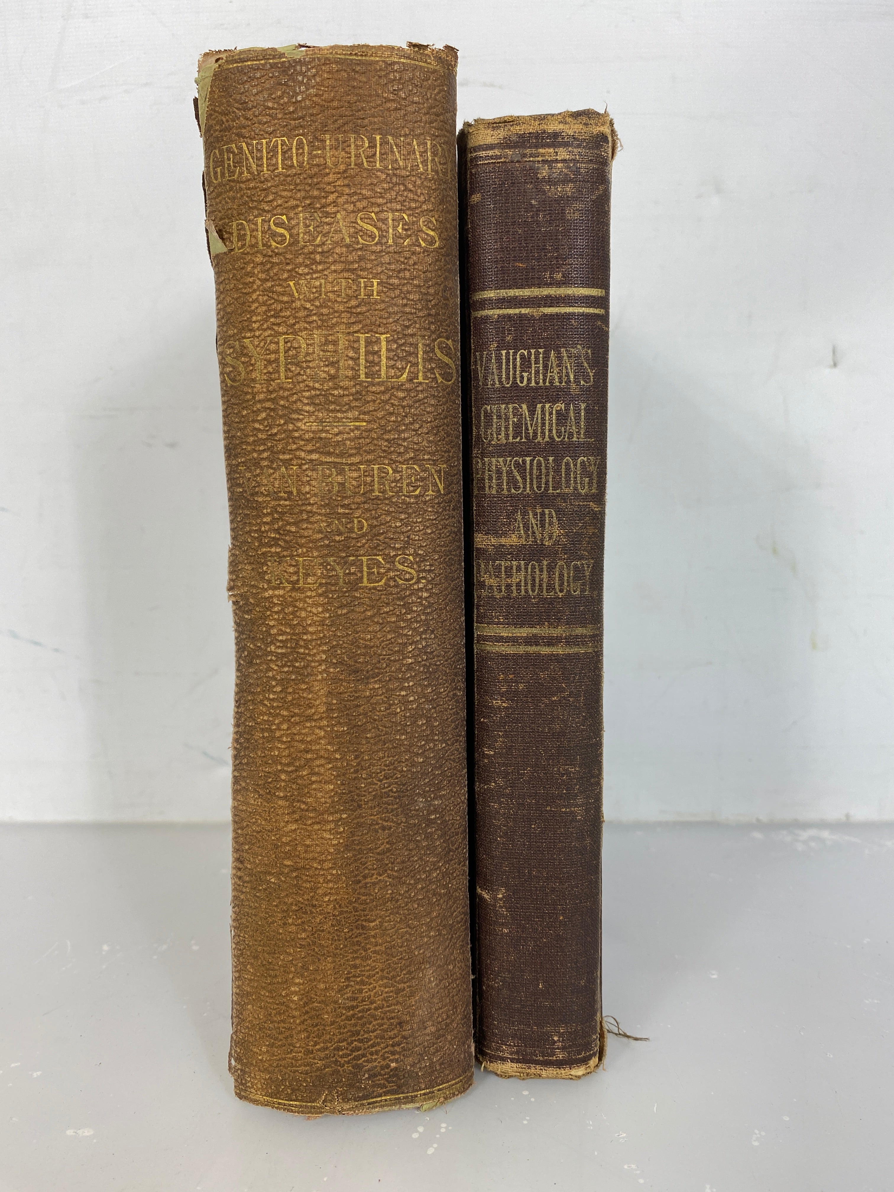 Lot of 2 Antique Medical Books:  (1874) and Hand-Book of Chemical Physiology and Pathology (1880) HCA Practical Treatise on the Surgical Diseases of the Genito-Urinary Organs