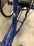 Blue Sun E-350 Trike Adult