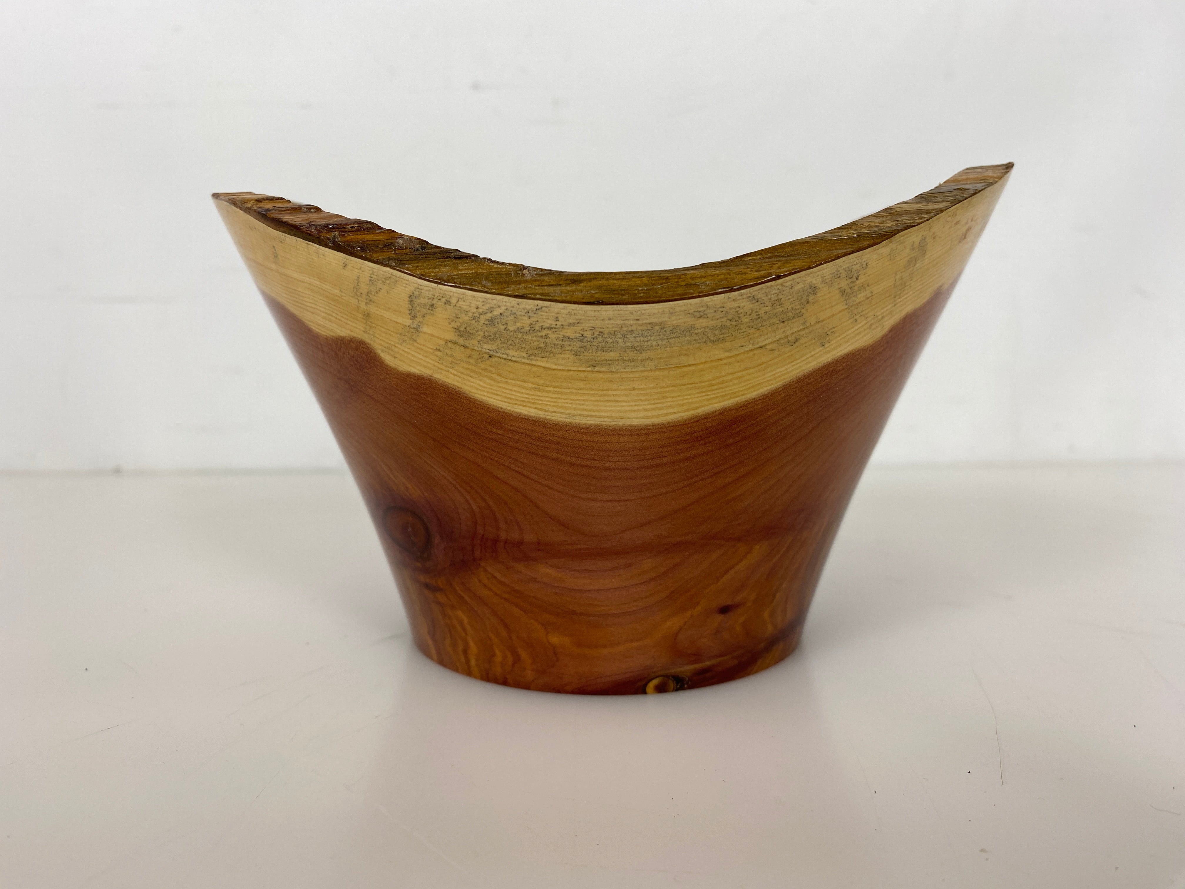 MSU Shadows Red Cedar Bowl #046