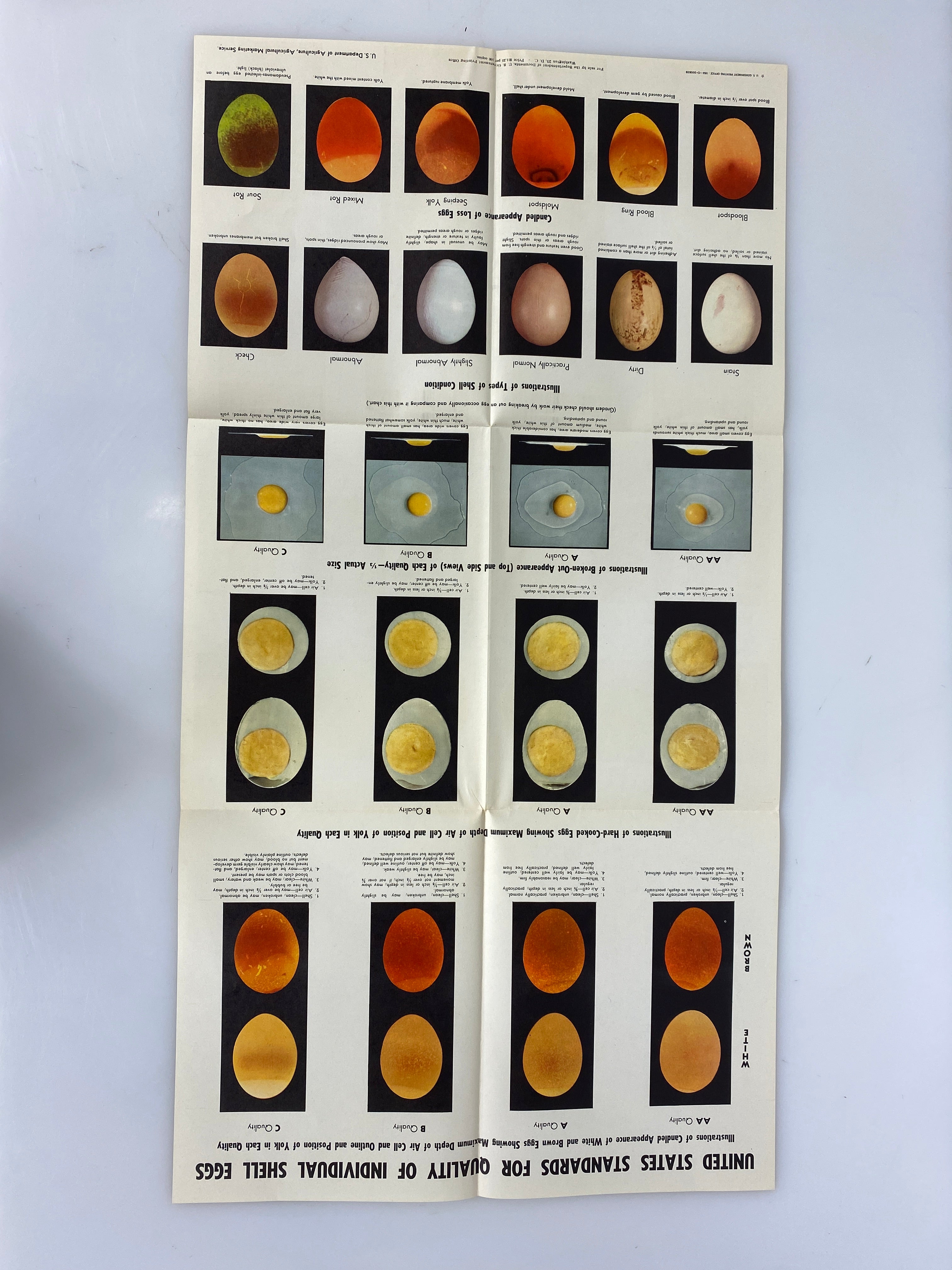 Vintage Agriculture Poster on Visual Egg Standards
