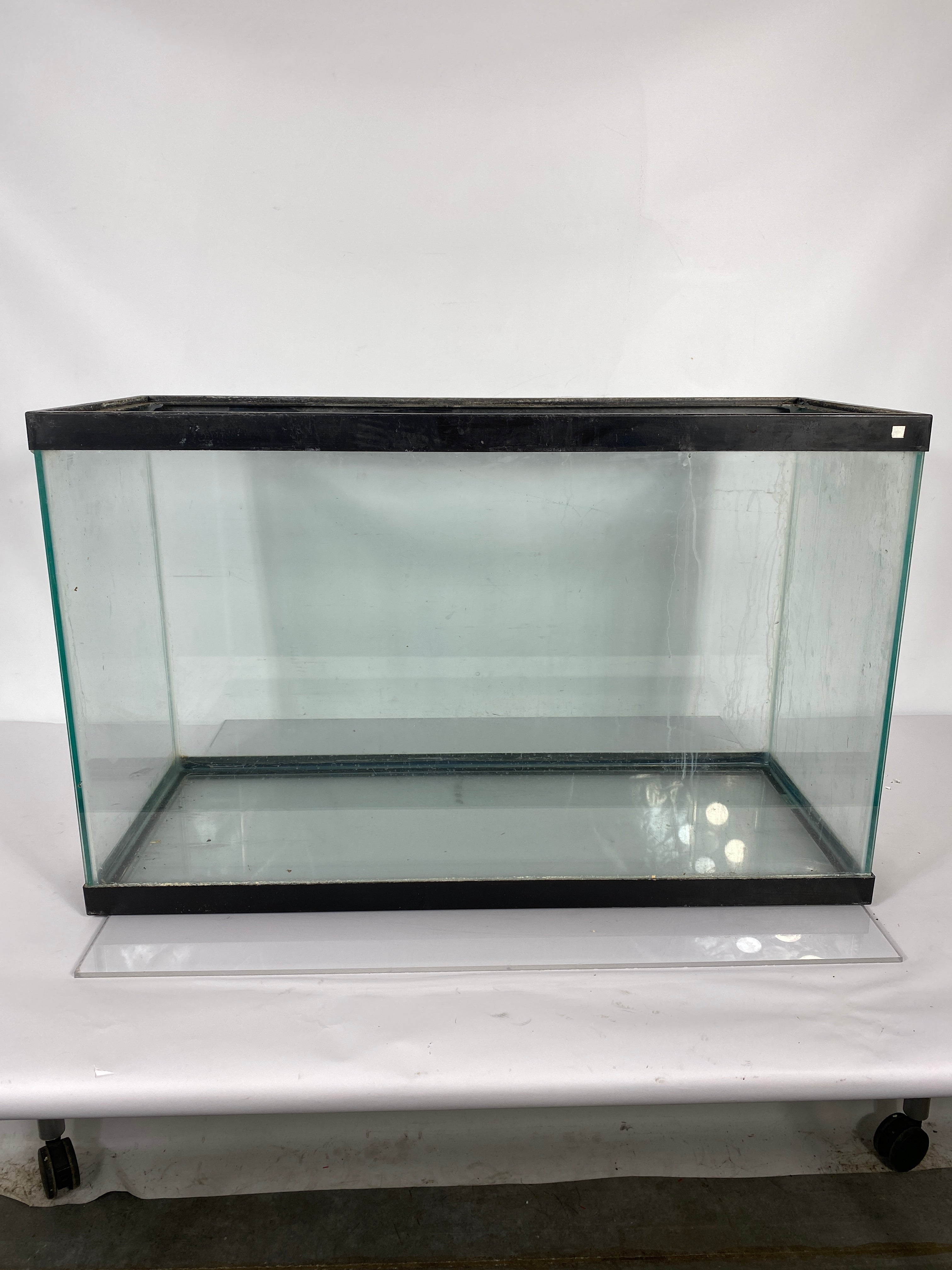 29 Gallon Fish Tank