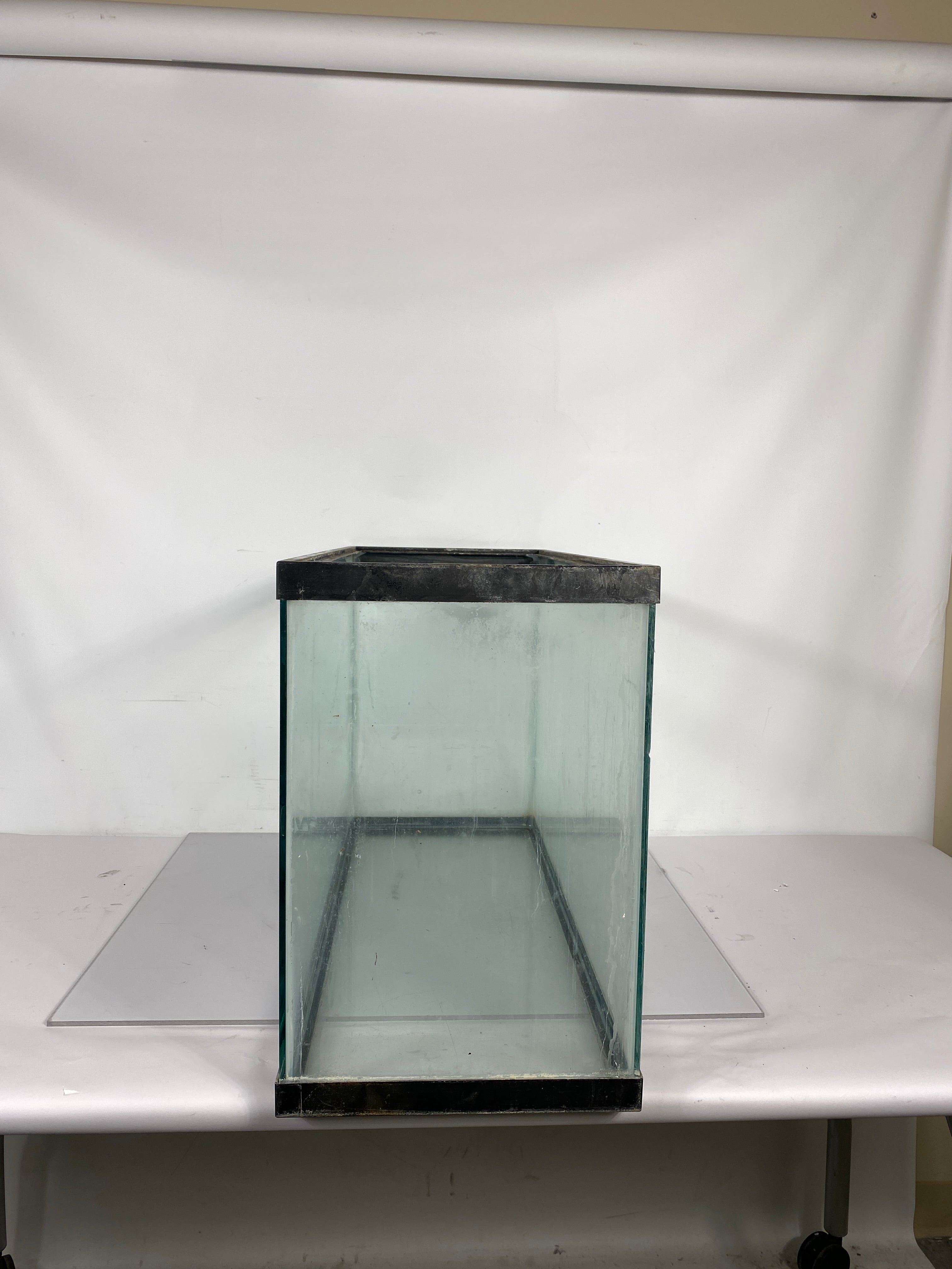 29 Gallon Fish Tank