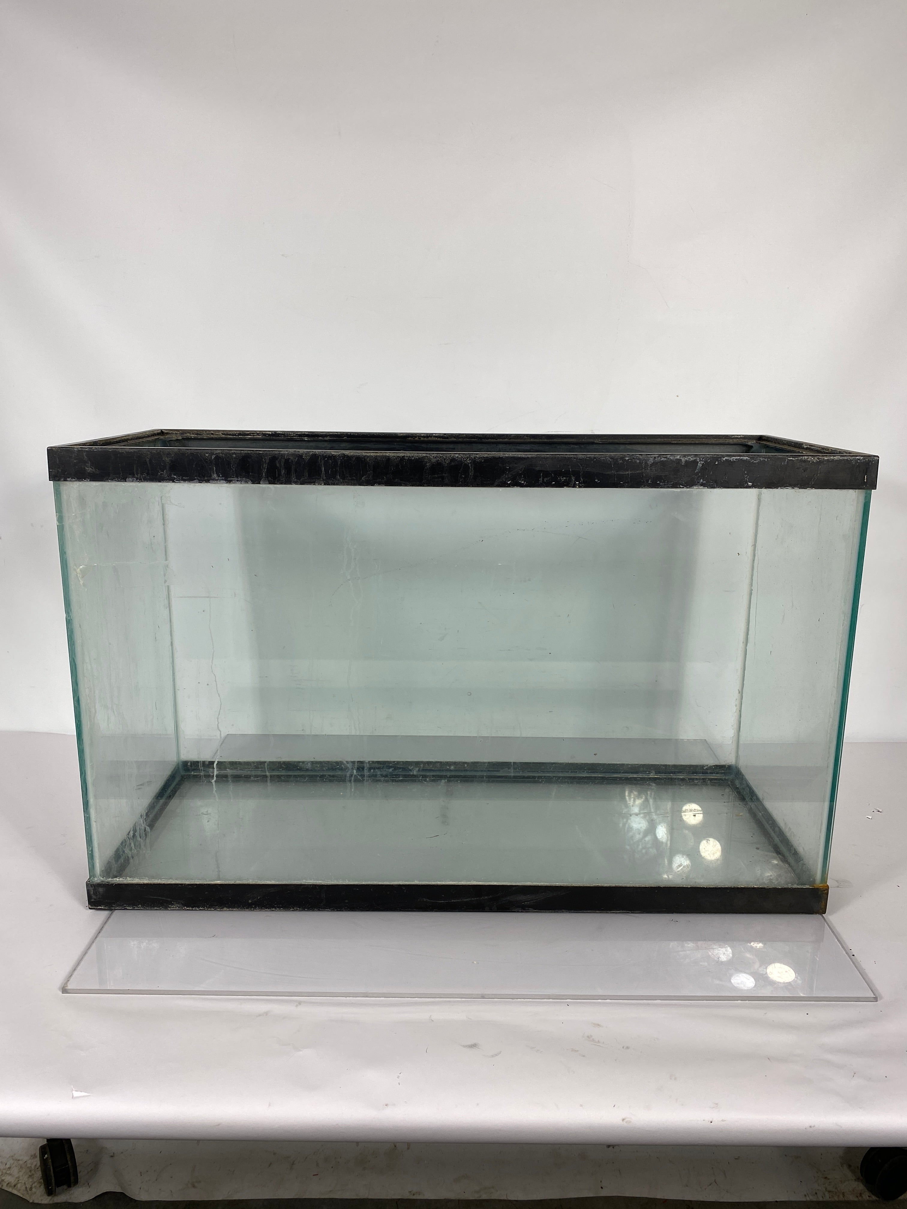 29 Gallon Fish Tank