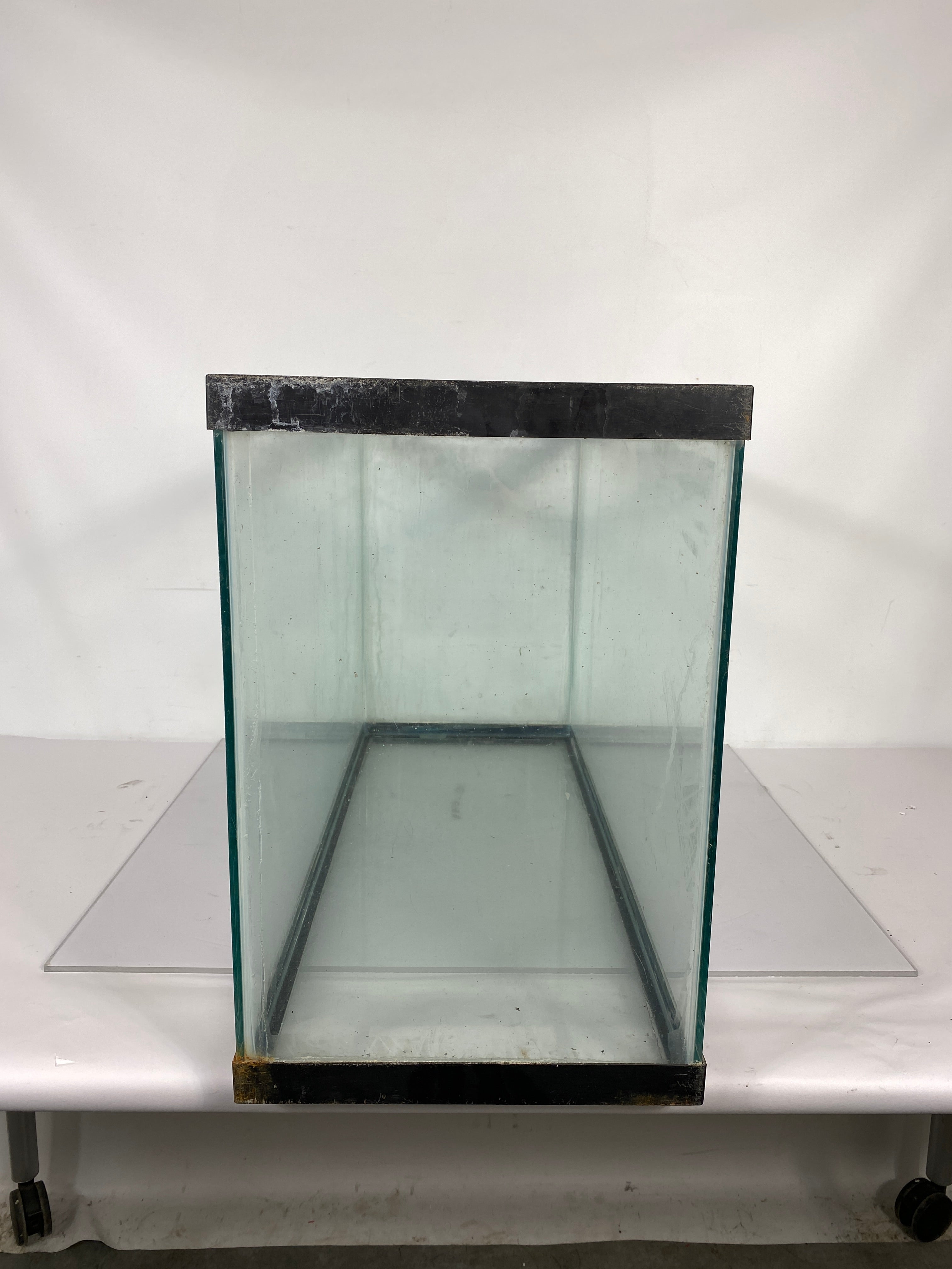 29 Gallon Fish Tank