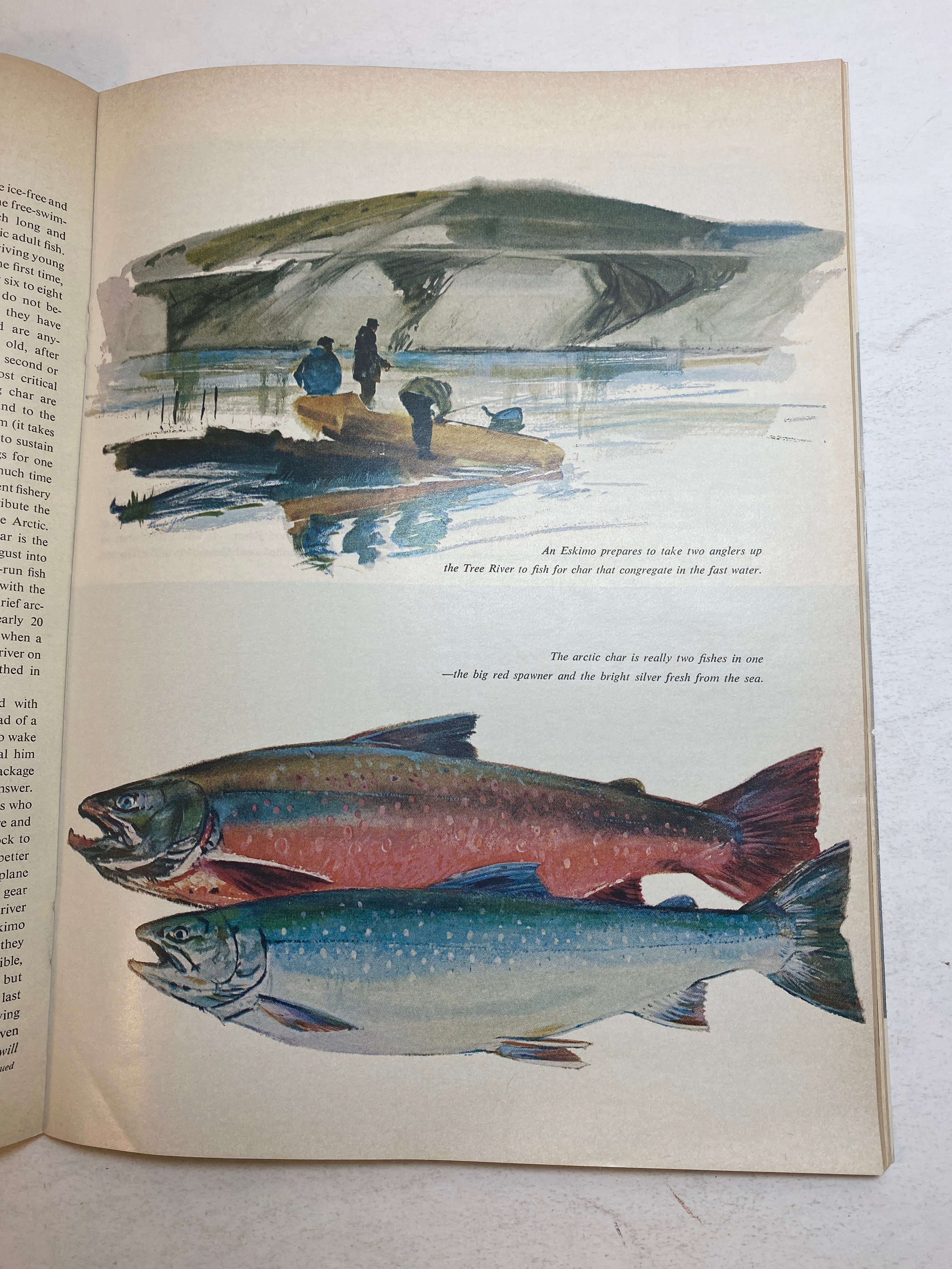 Sports Illustrated May 15 1967 Buzzie Bavashi Los Angeles Dodgers