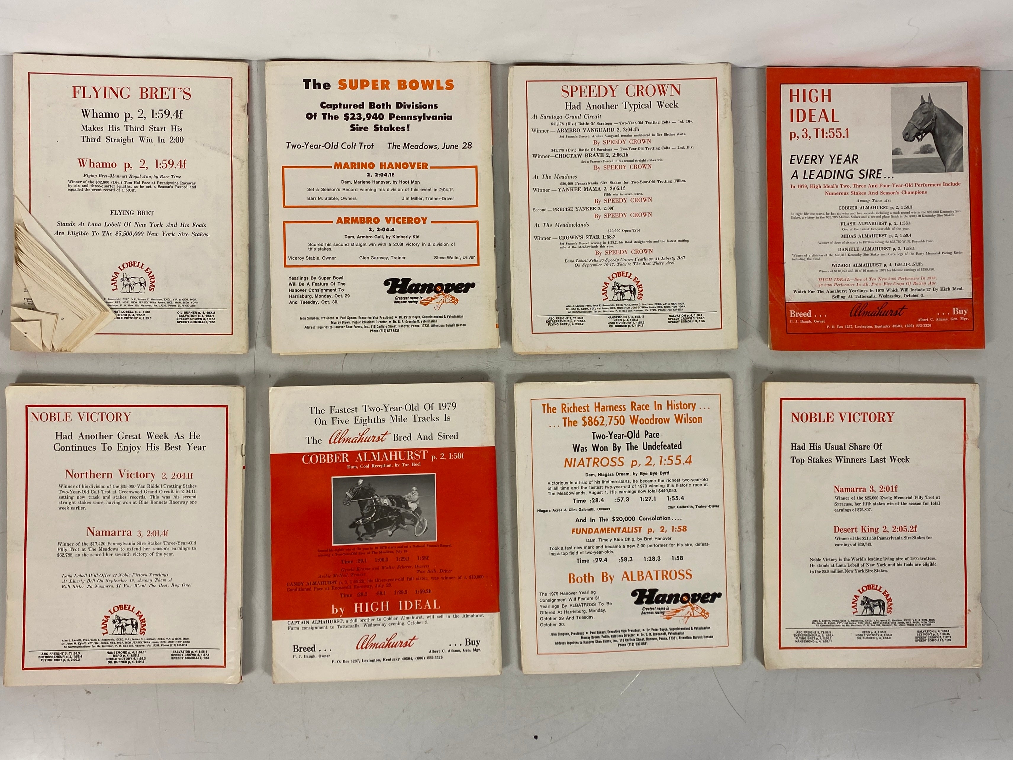 Lot of 19 The Horseman and Fair Magazines (June-December 1979)