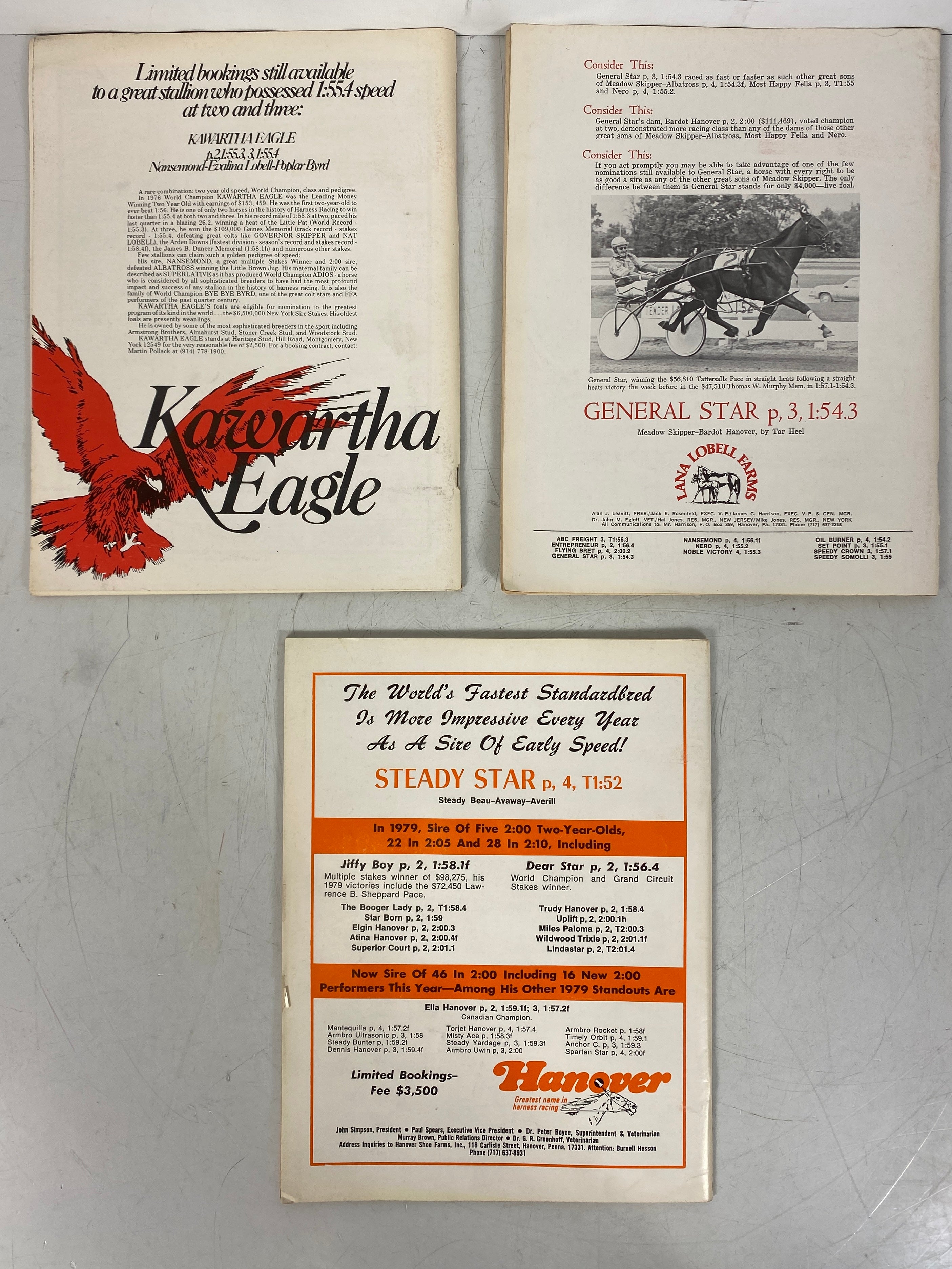 Lot of 19 The Horseman and Fair Magazines (June-December 1979)
