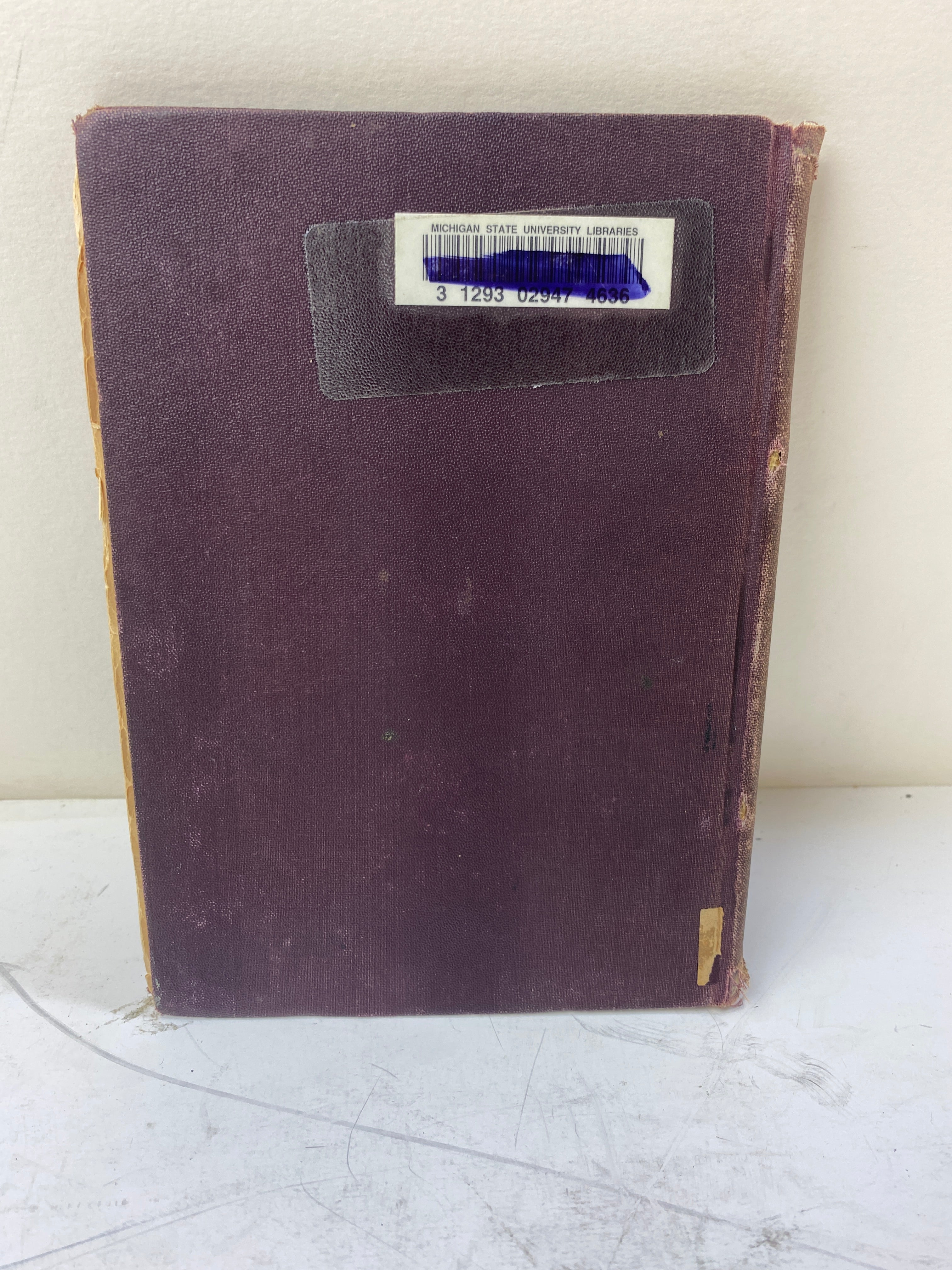 American Grape Training by L.H. Bailey Ex-library 1893 HC