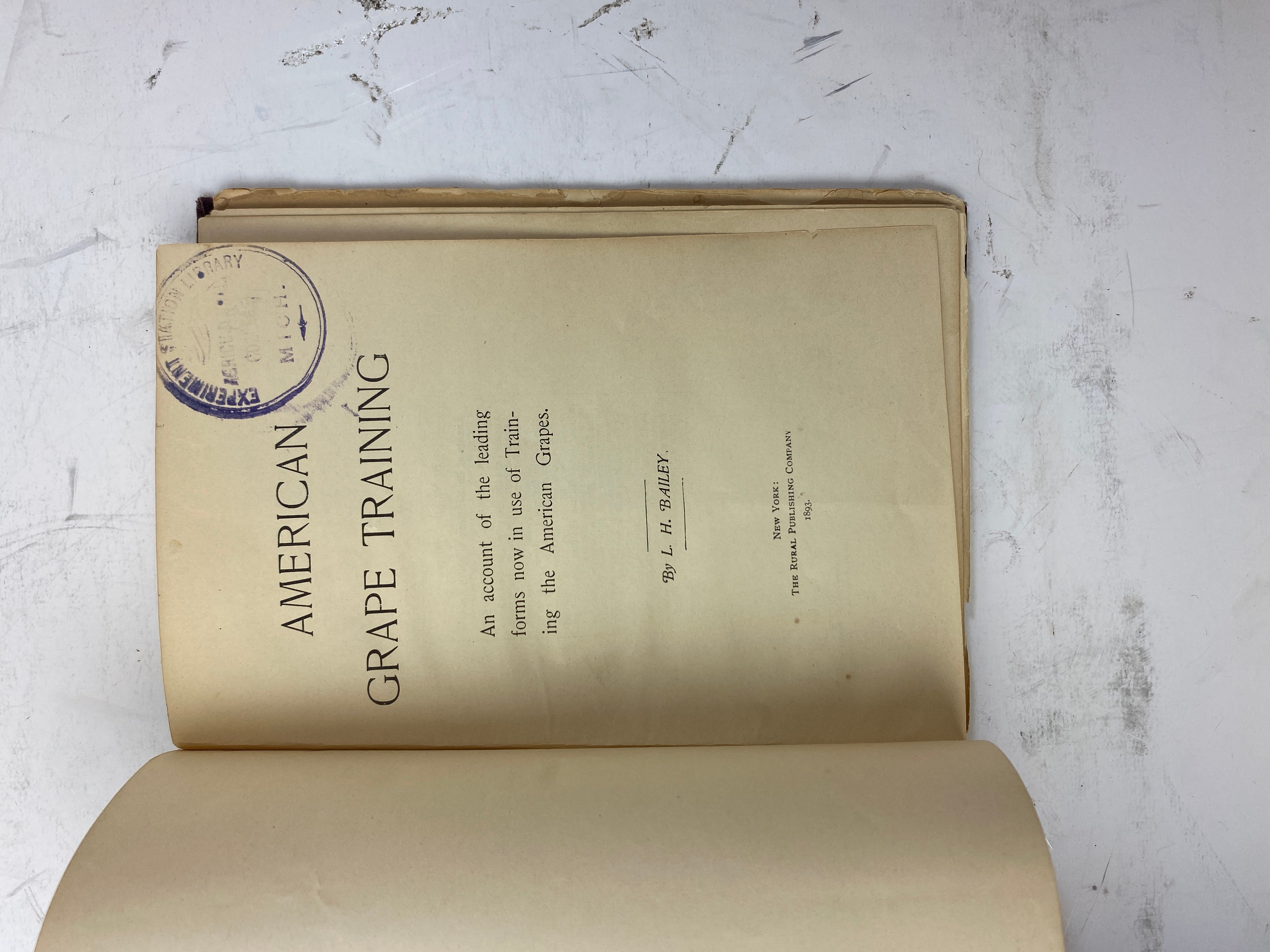 American Grape Training by L.H. Bailey Ex-library 1893 HC