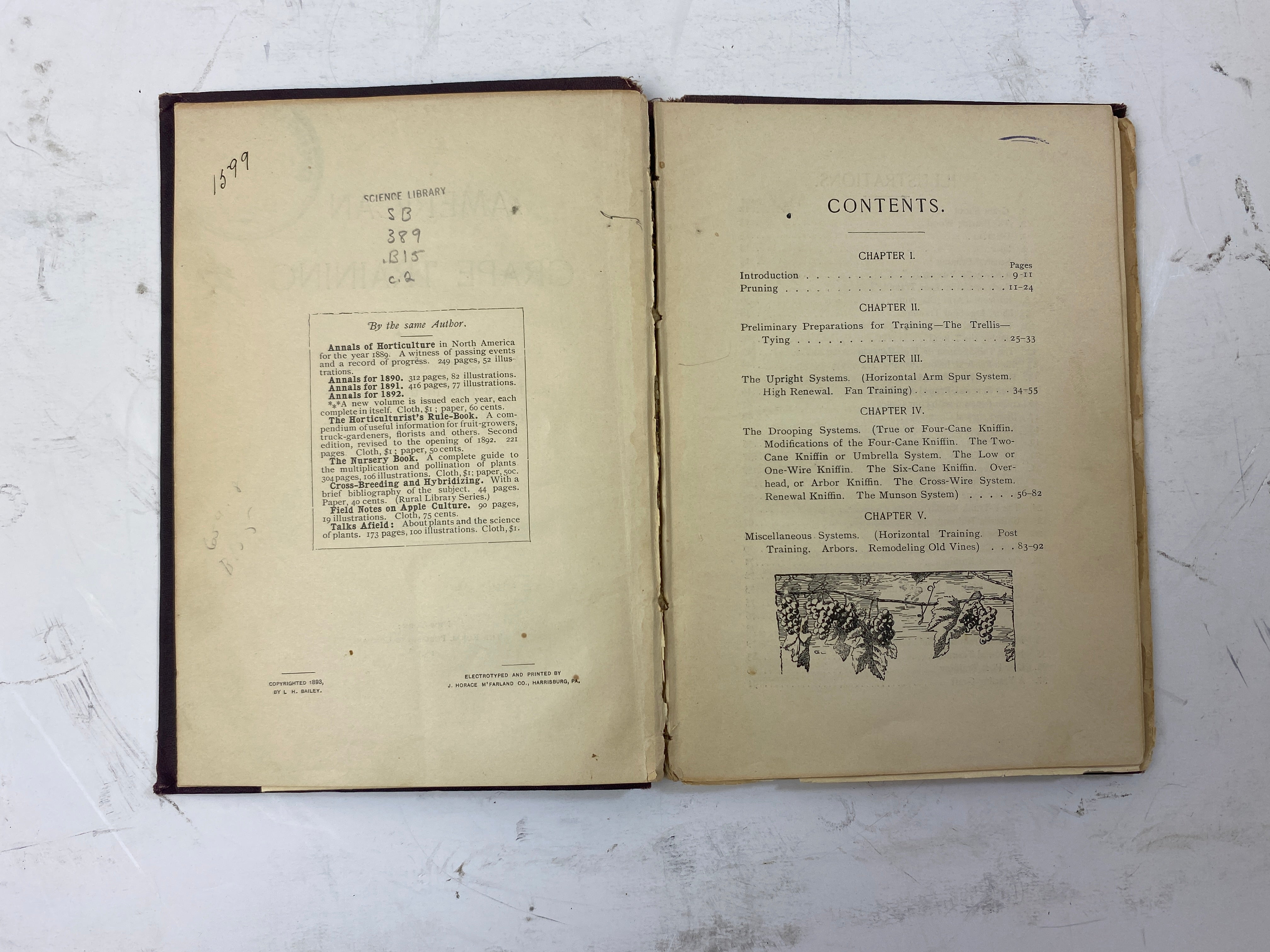 American Grape Training by L.H. Bailey Ex-library 1893 HC