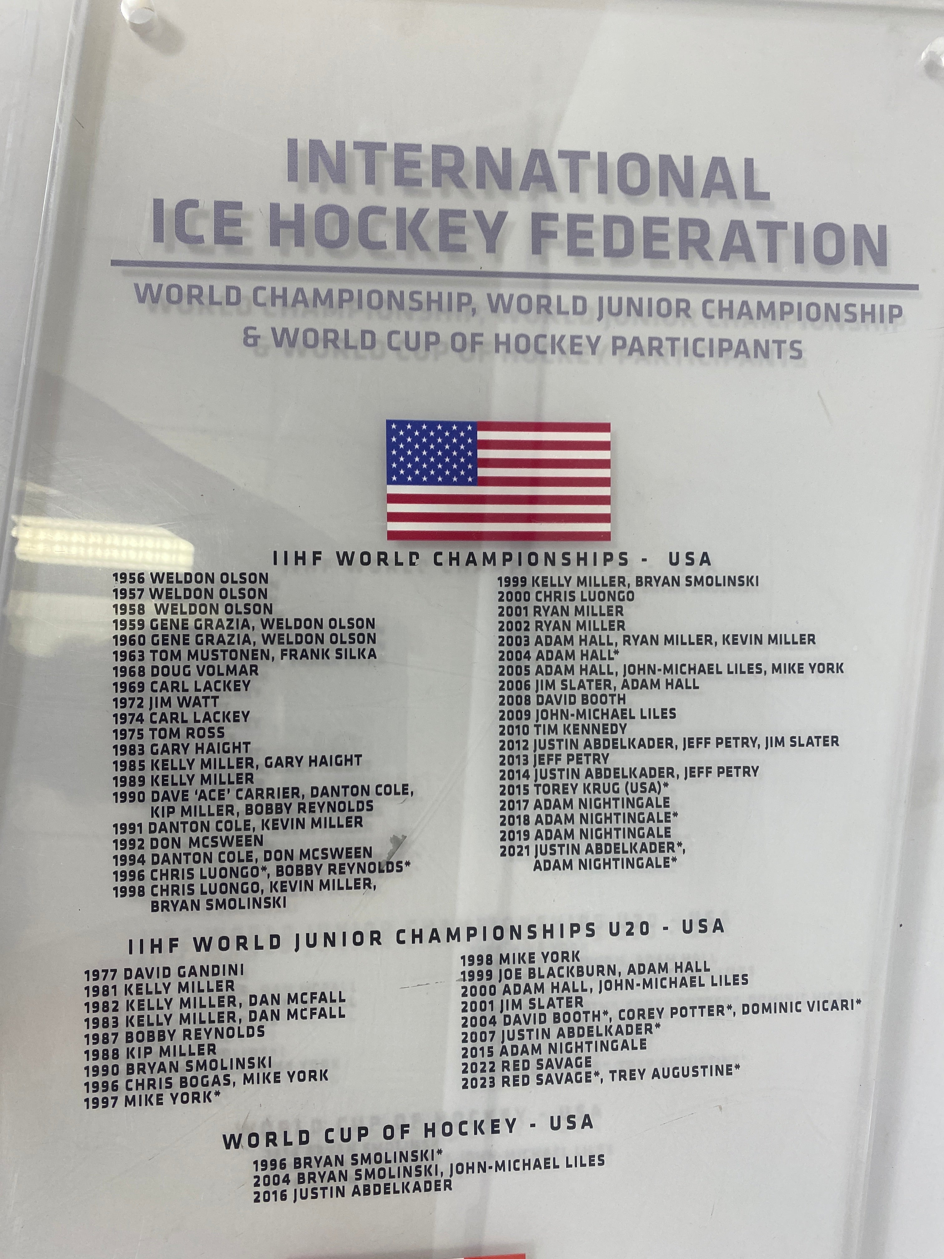International Ice Hockey Federation Acrylic Wall Hanging