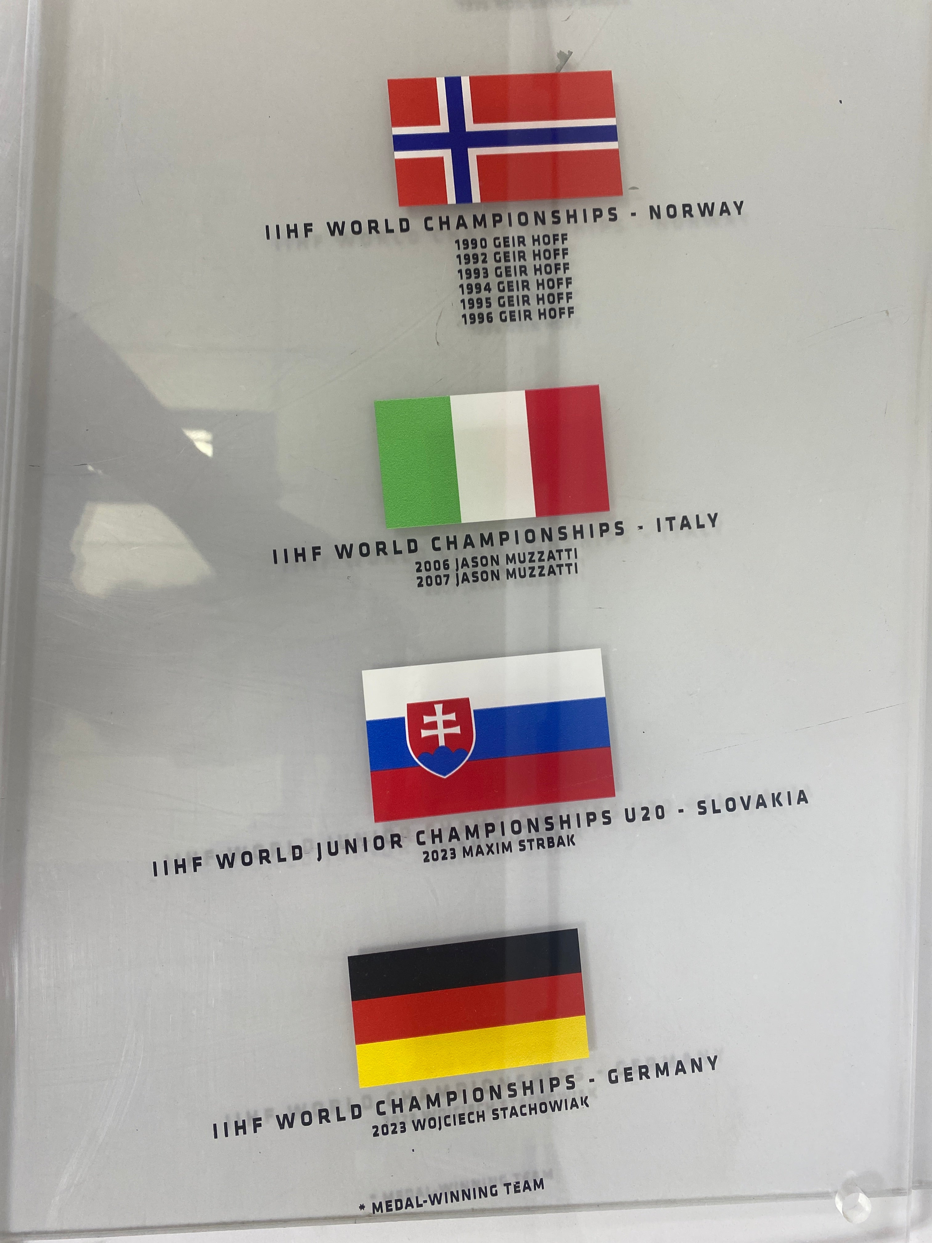 International Ice Hockey Federation Acrylic Wall Hanging