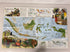 Lot of Vintage Nat Geo Maps of Asia: Indonesia/China/Philippines/Japan/Vietnam