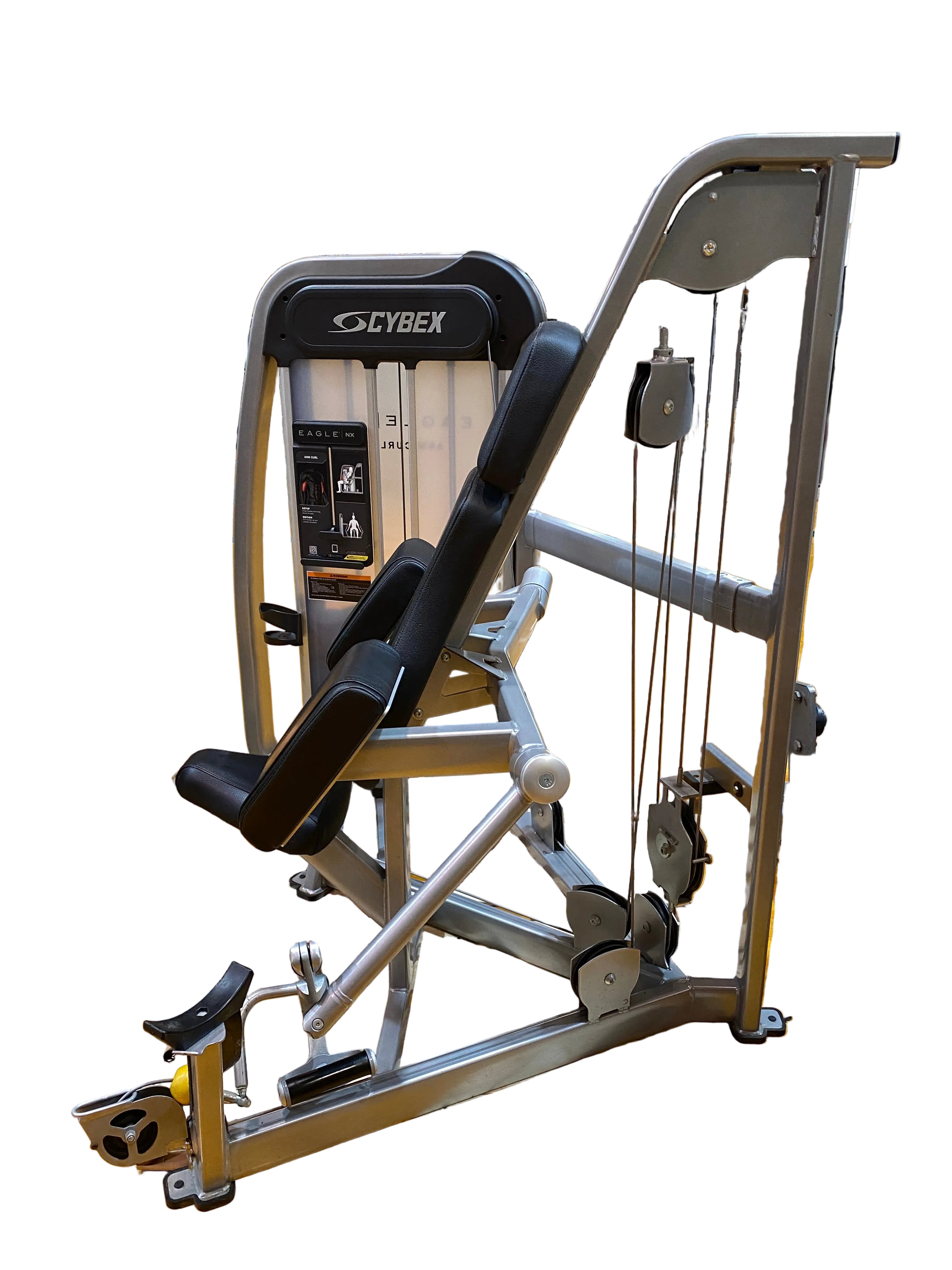 Cybex Eagle Arm Curl Machine