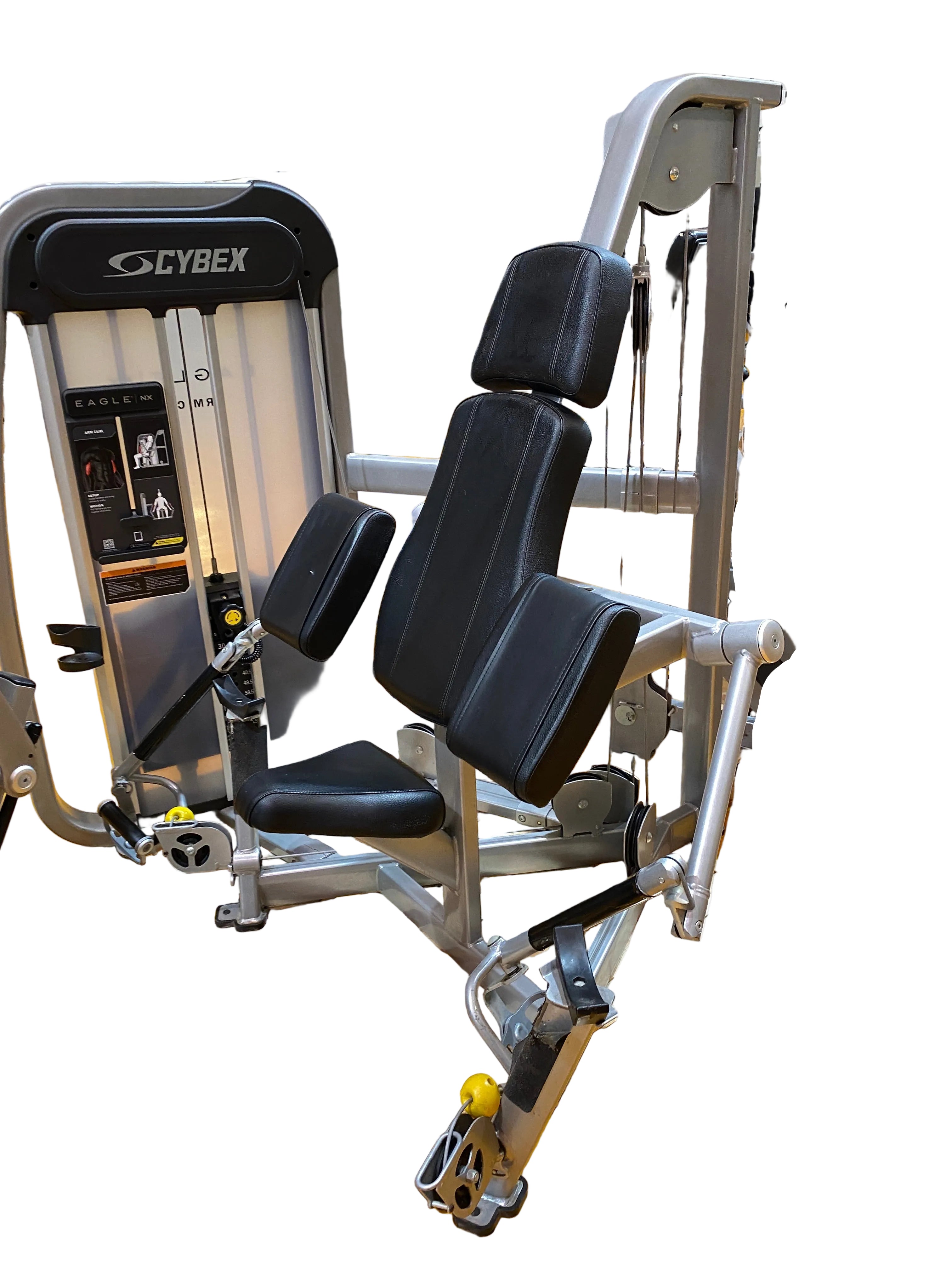 Cybex Eagle Arm Curl Machine