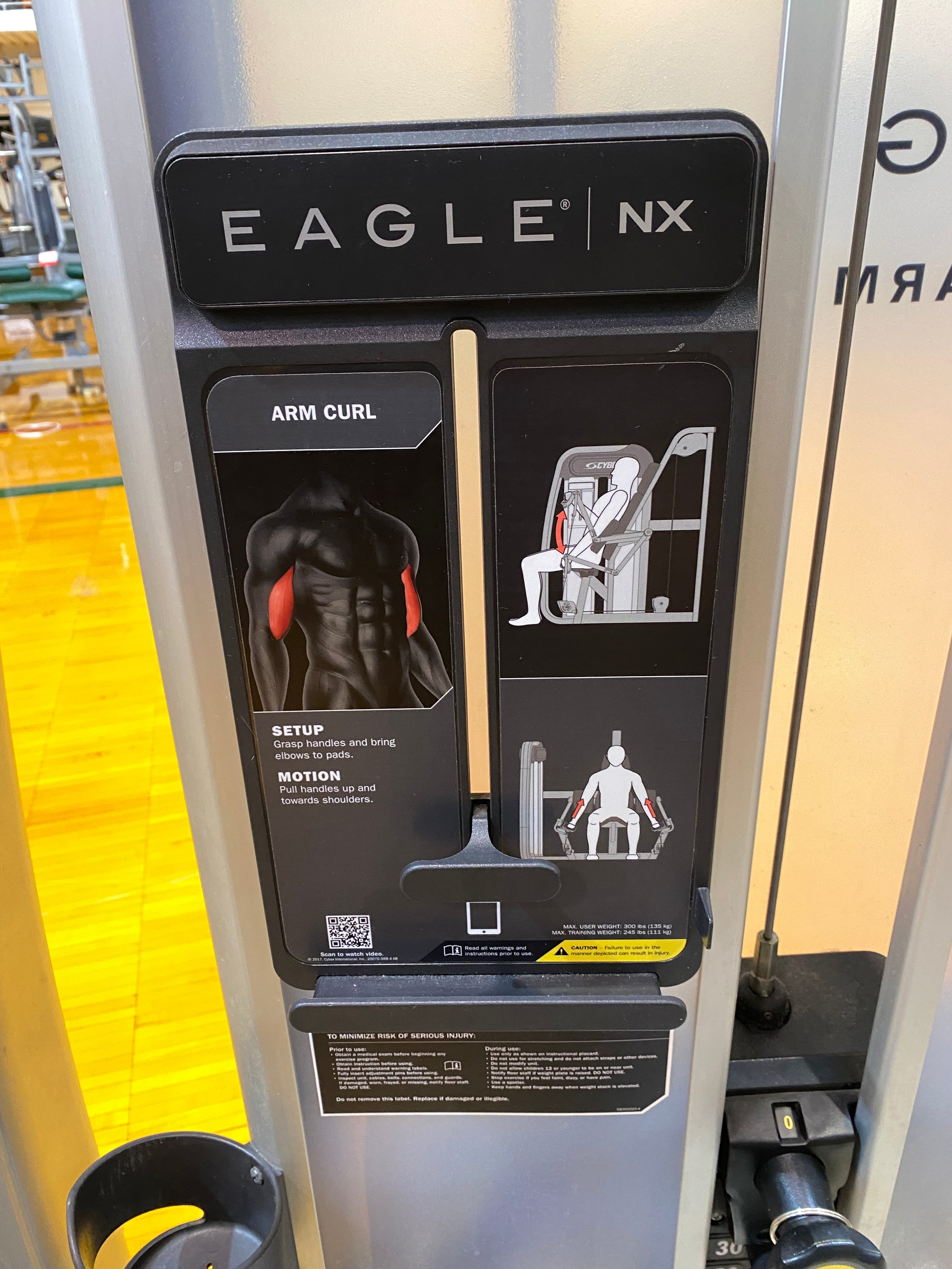 Cybex Eagle Arm Curl Machine