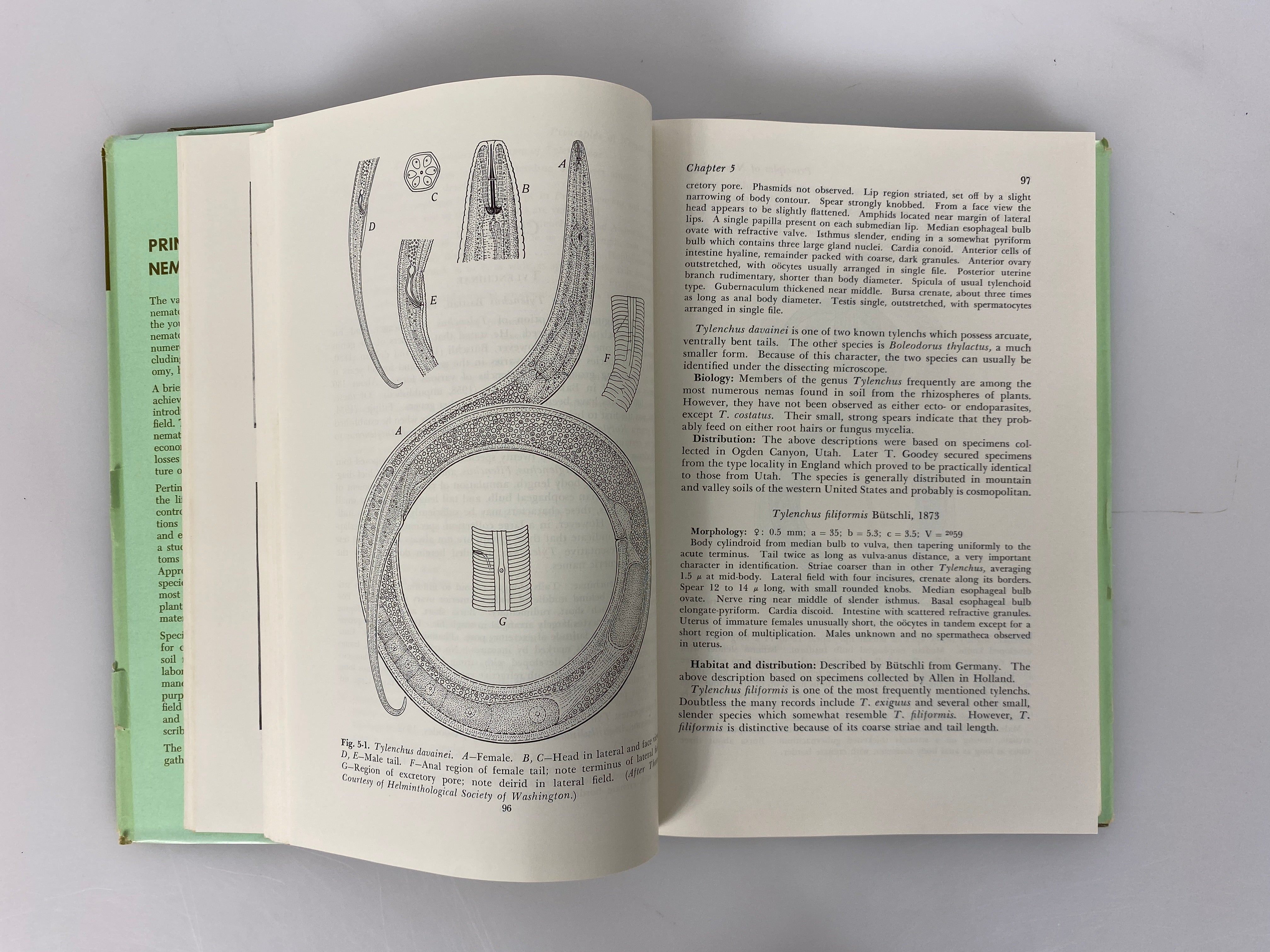 Lot of 3 Volumes: Nematodes/Nematology 1959-1961 Vintage HC